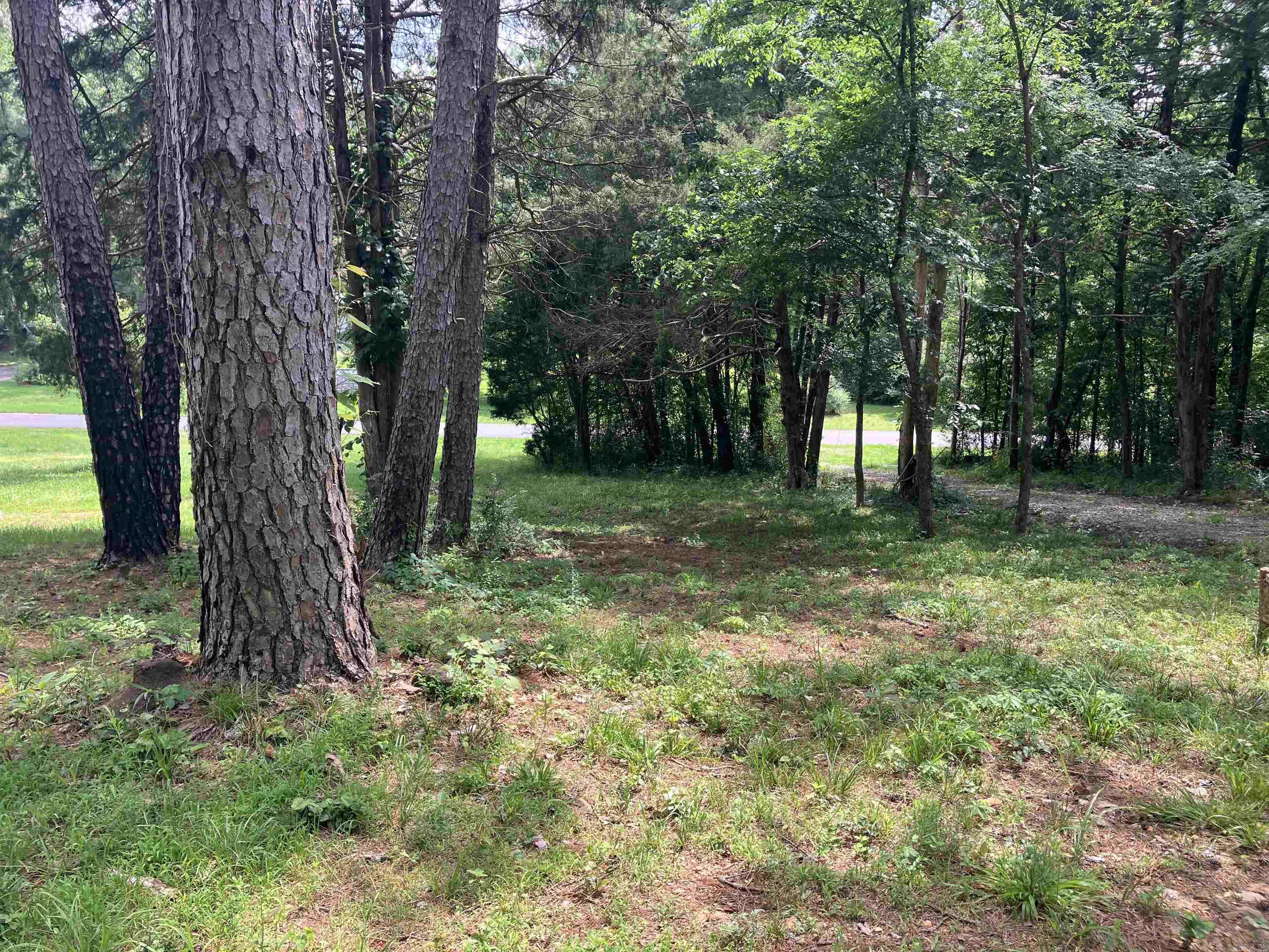 190 Waggoner St. Property Photo 19