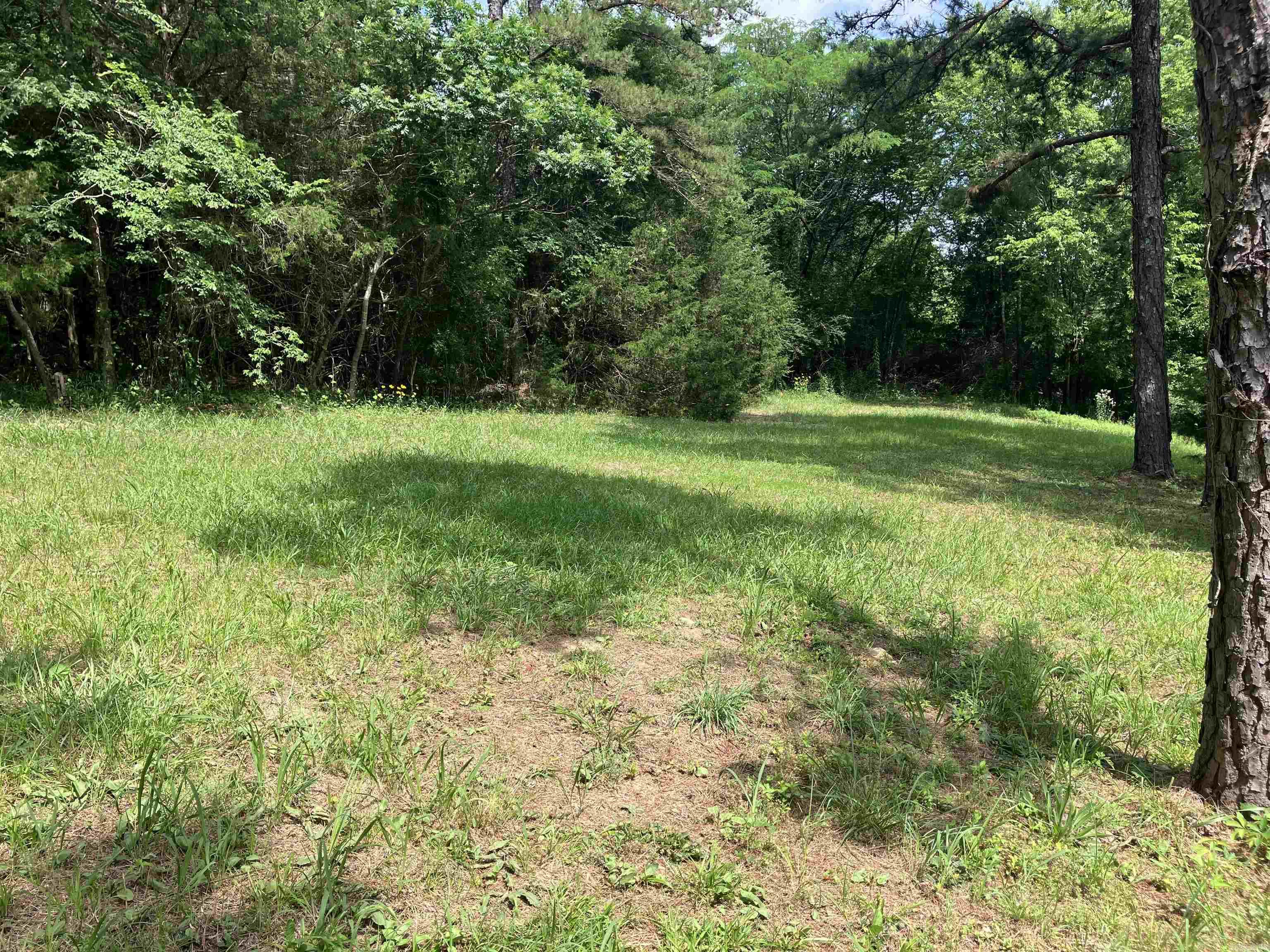 190 Waggoner St. Property Photo 20