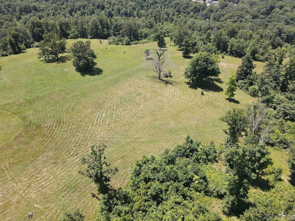 Wooded Hills Road Property Photo 6