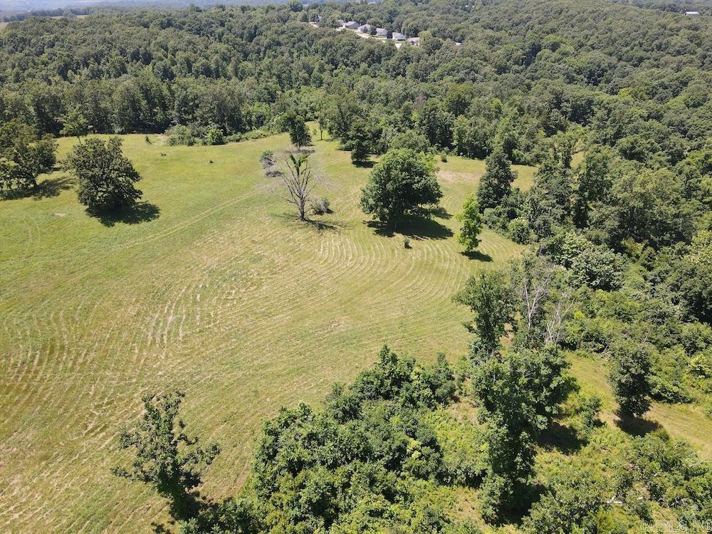 Wooded Hills Road Property Photo 7