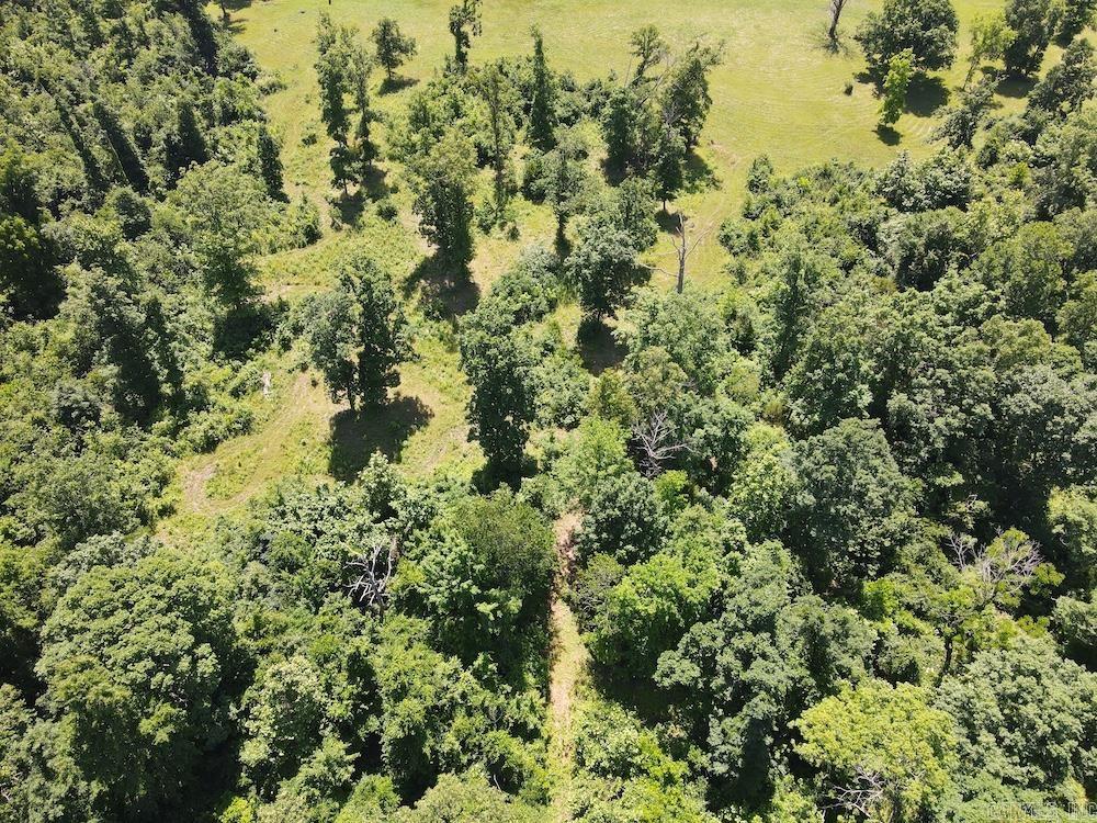 Wooded Hills Road Property Photo 25