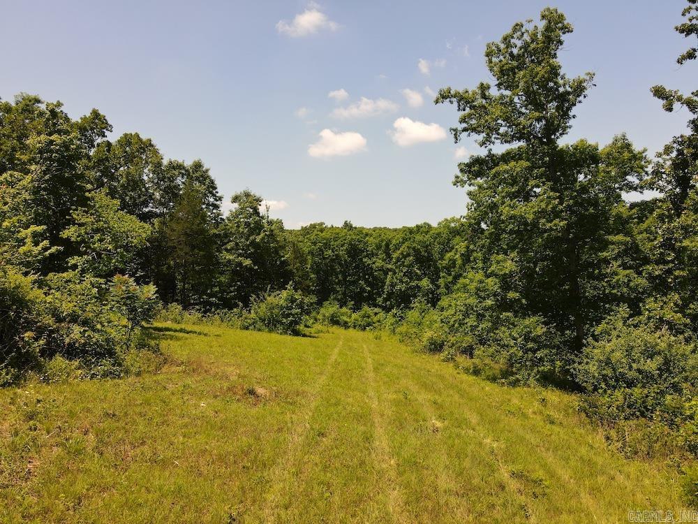 Wooded Hills Road Property Photo 37