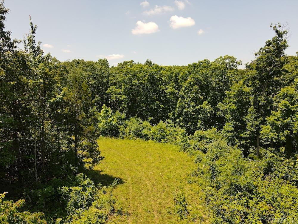 Wooded Hills Road Property Photo 38