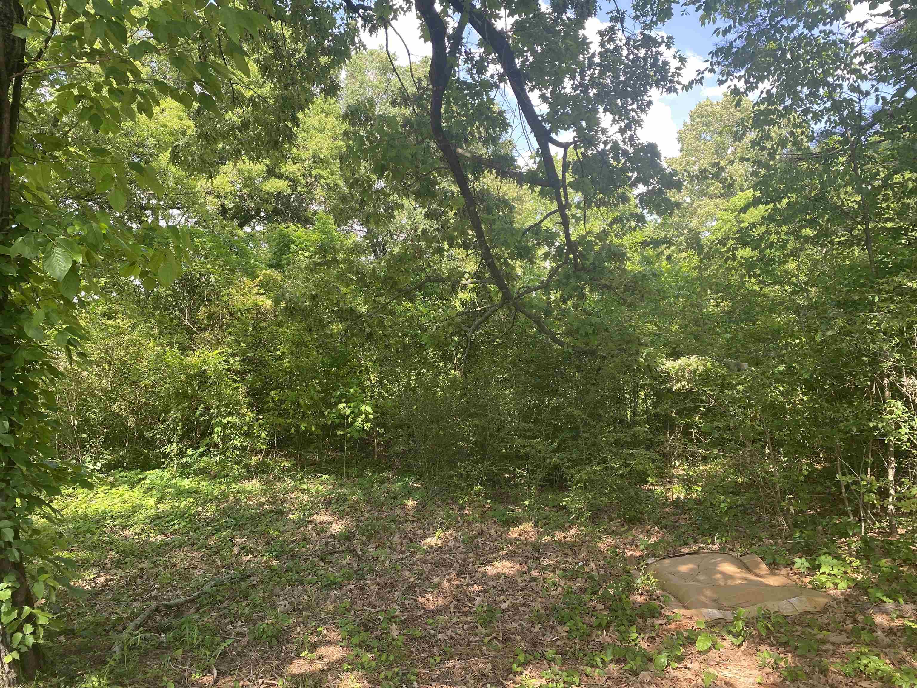 Morrow Drive Property Photo 1