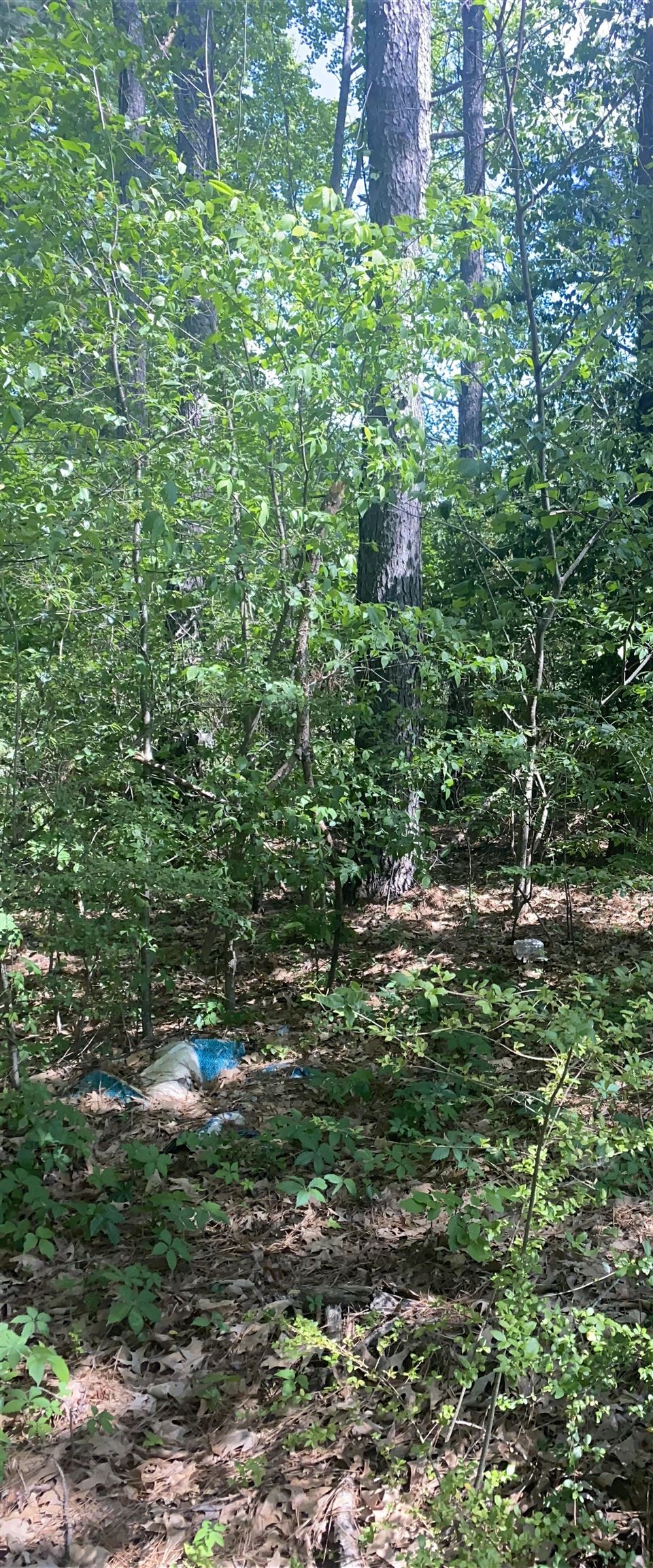 Morrow Drive Property Photo 2