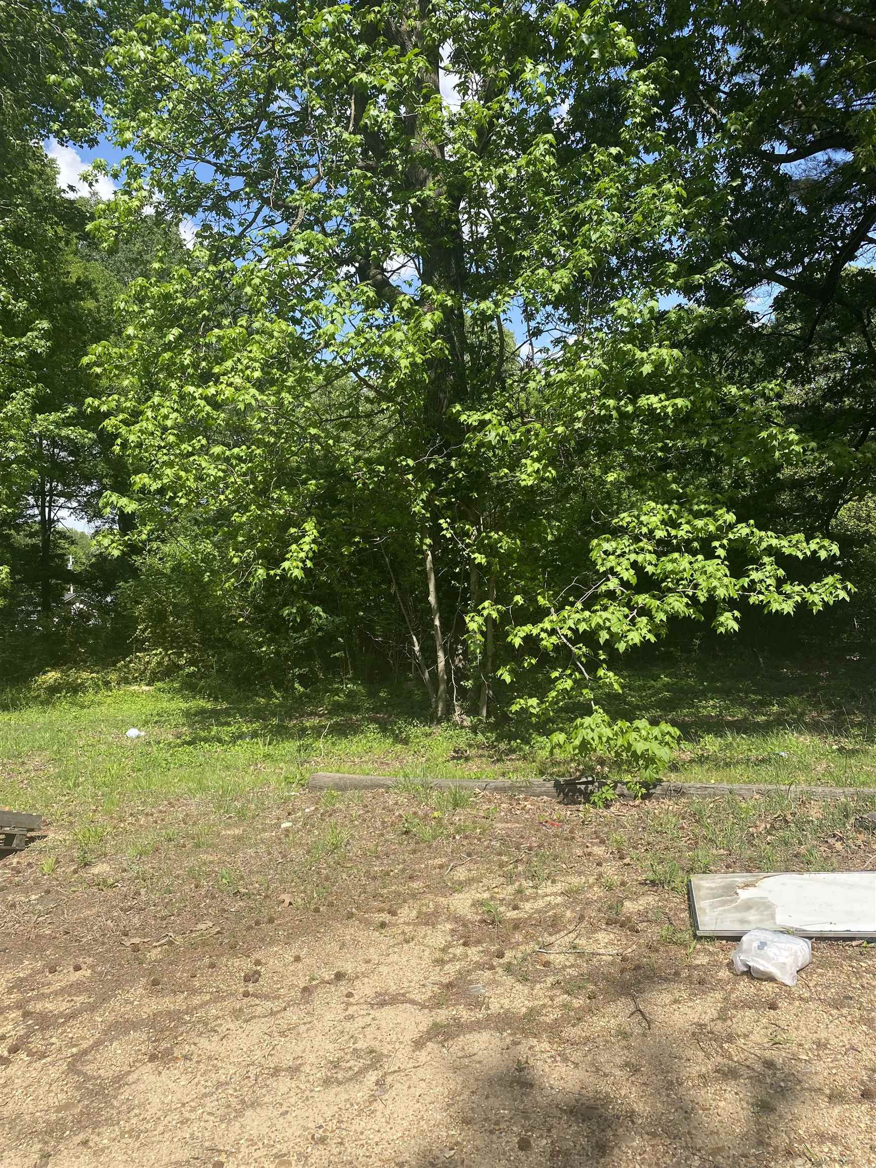Morrow Drive Property Photo 3