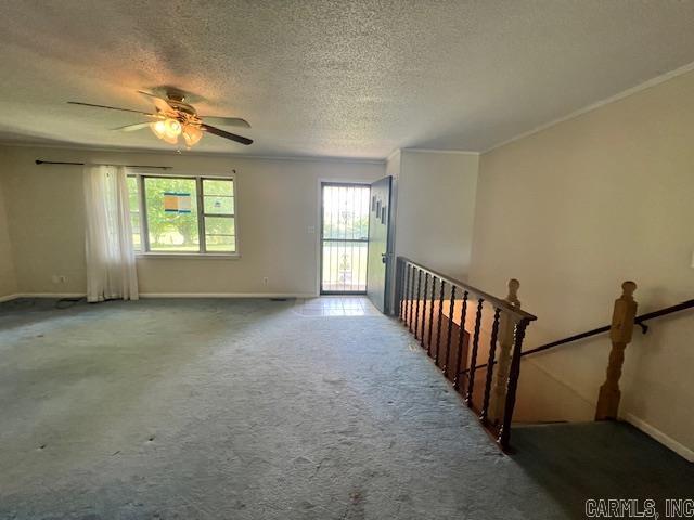 1206 County 761 Road Property Photo 7