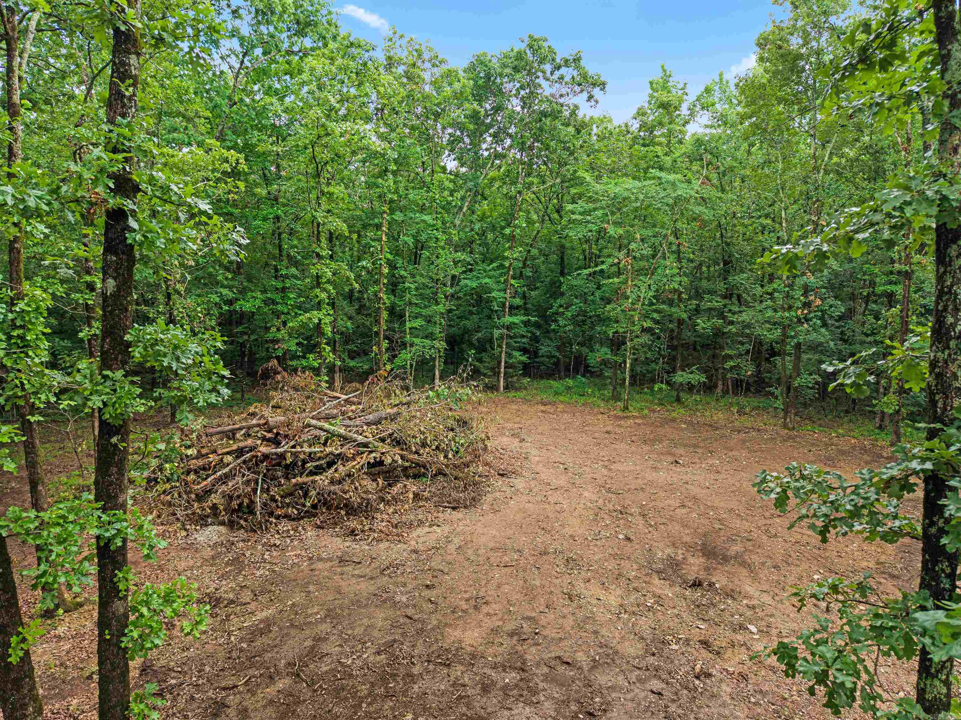 264 Meeks Loop Property Photo 27