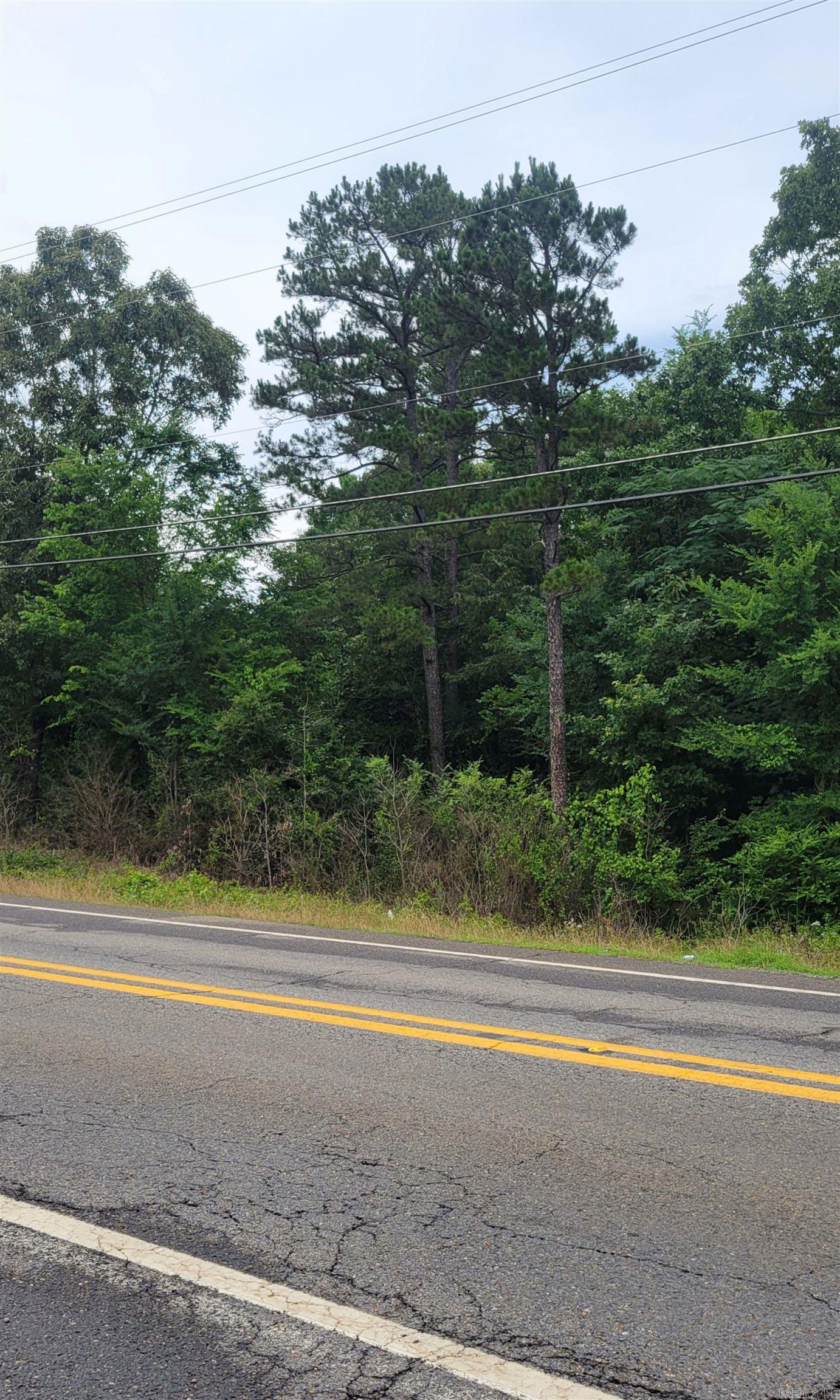0 Highway 365 N Property Photo 2
