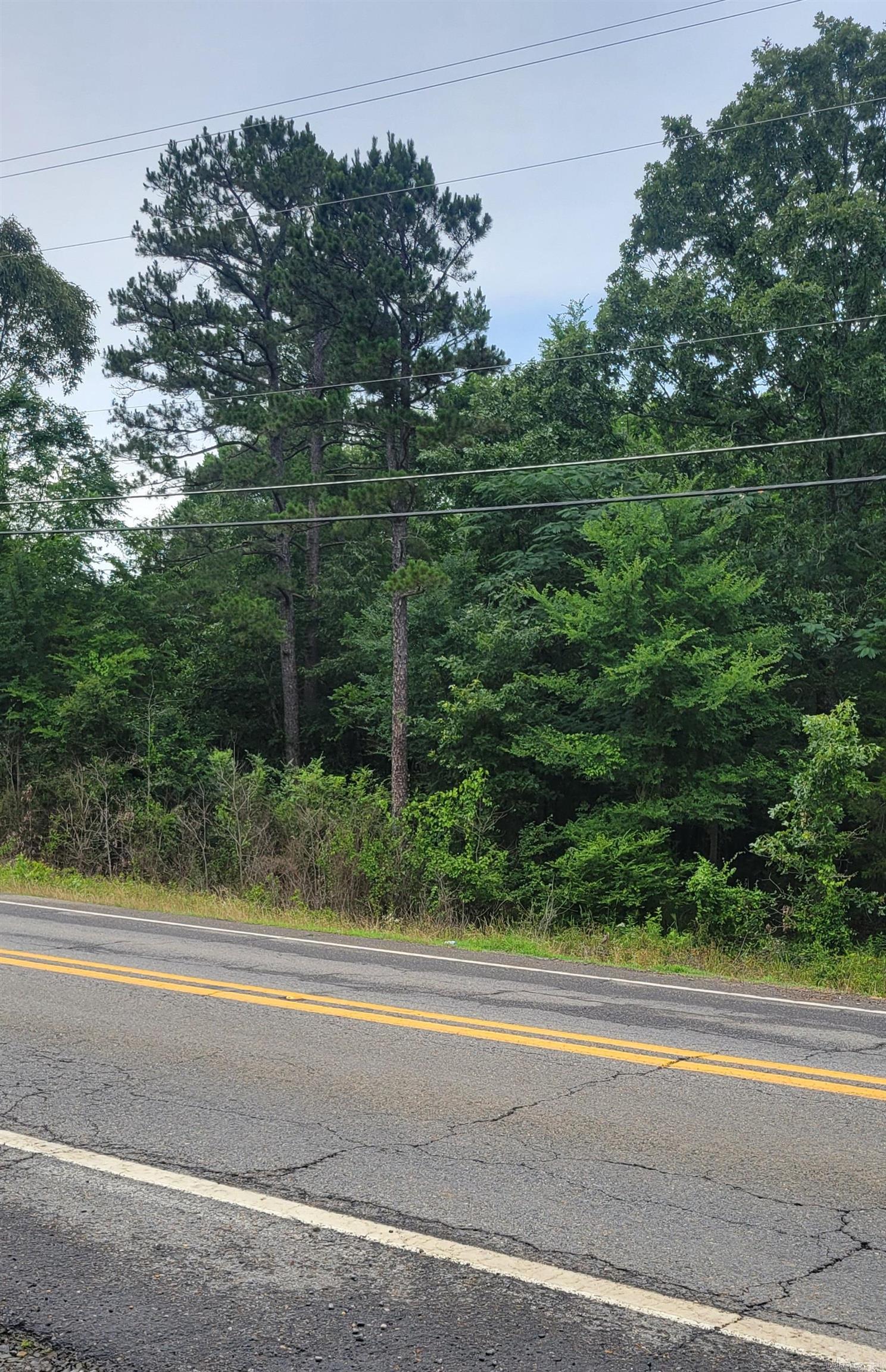 0 Highway 365 N Property Photo 6