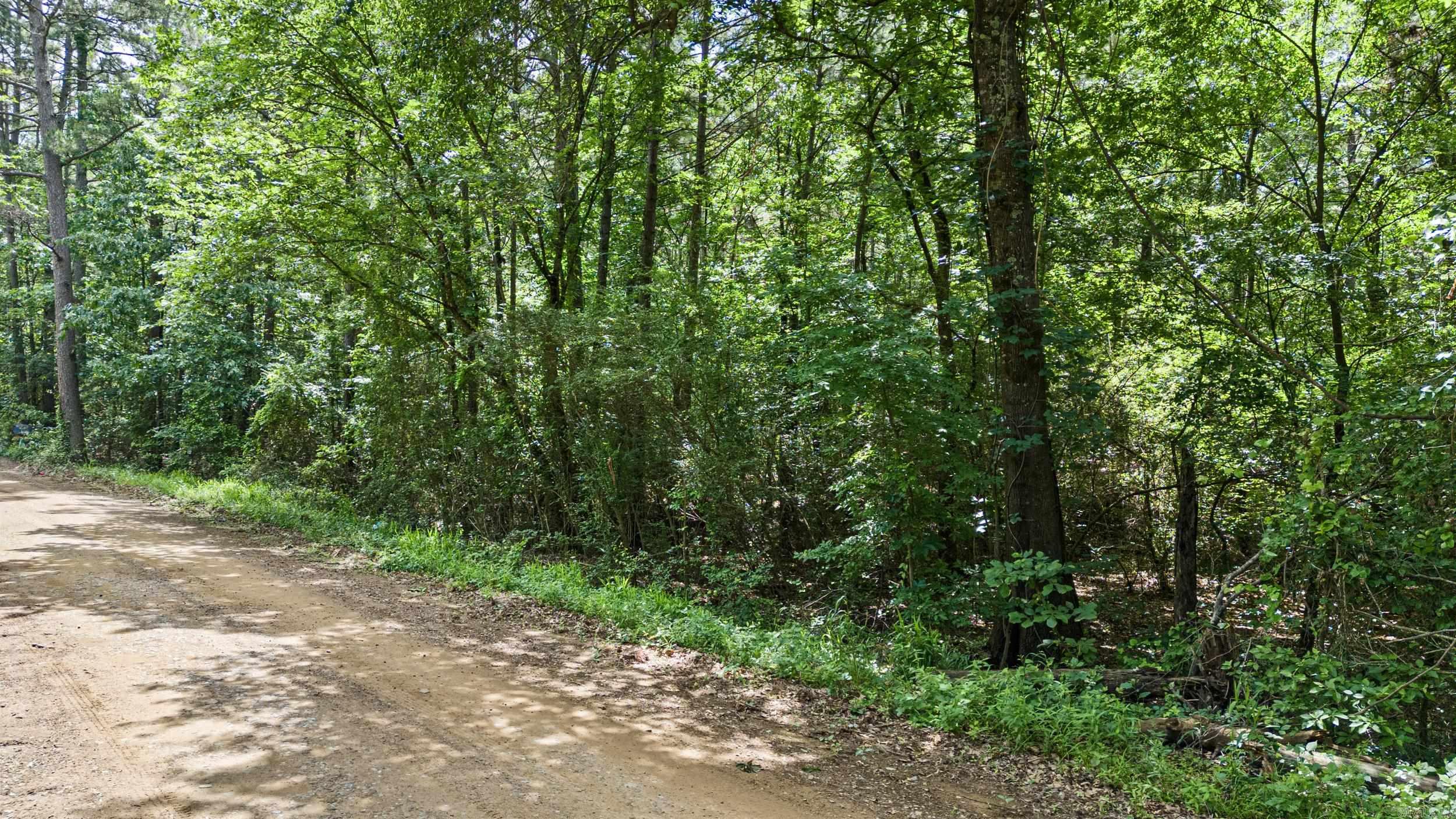 Tbd E Cedar Piney Road Property Photo 1