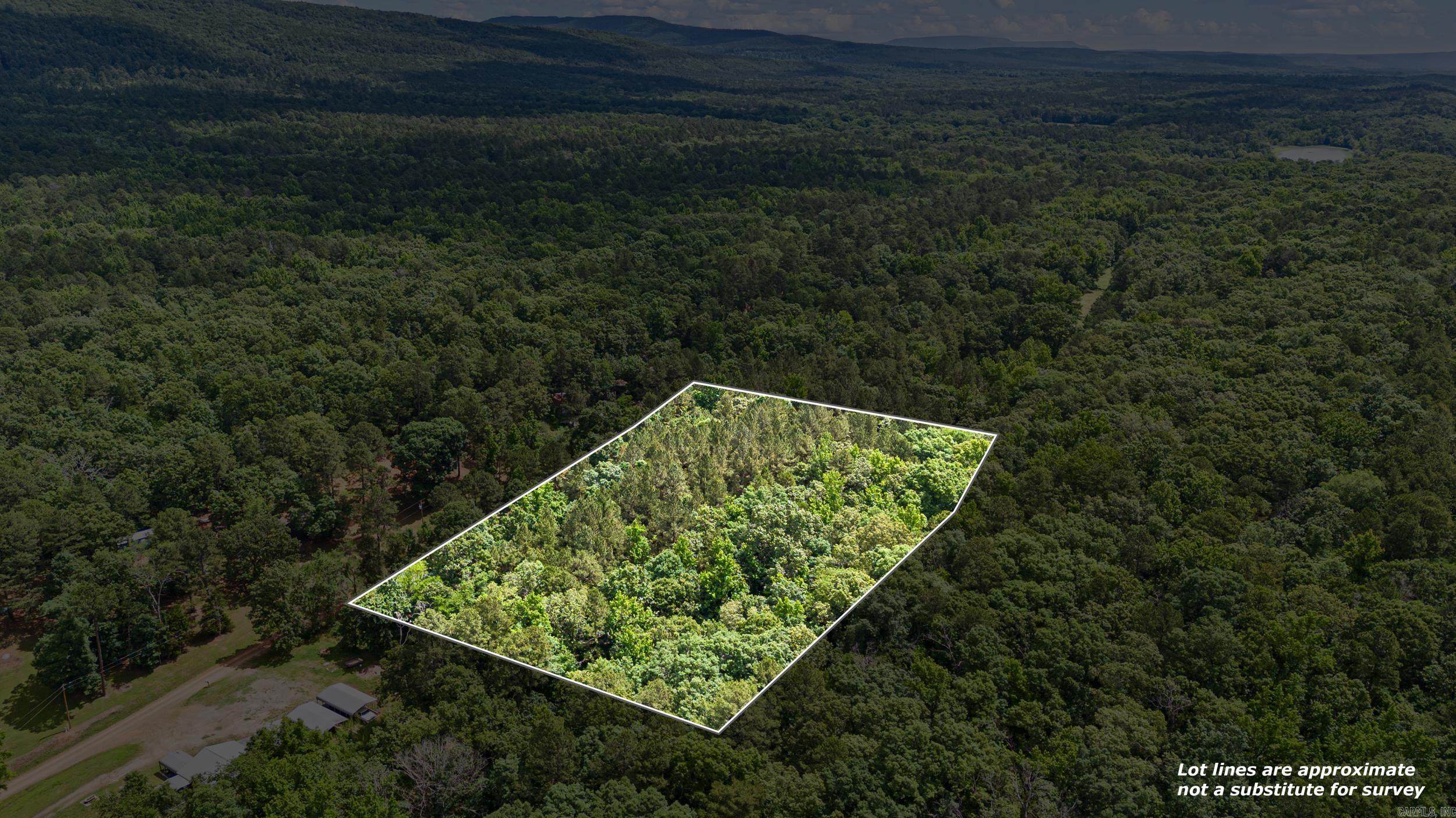 Tbd E Cedar Piney Road Property Photo 4