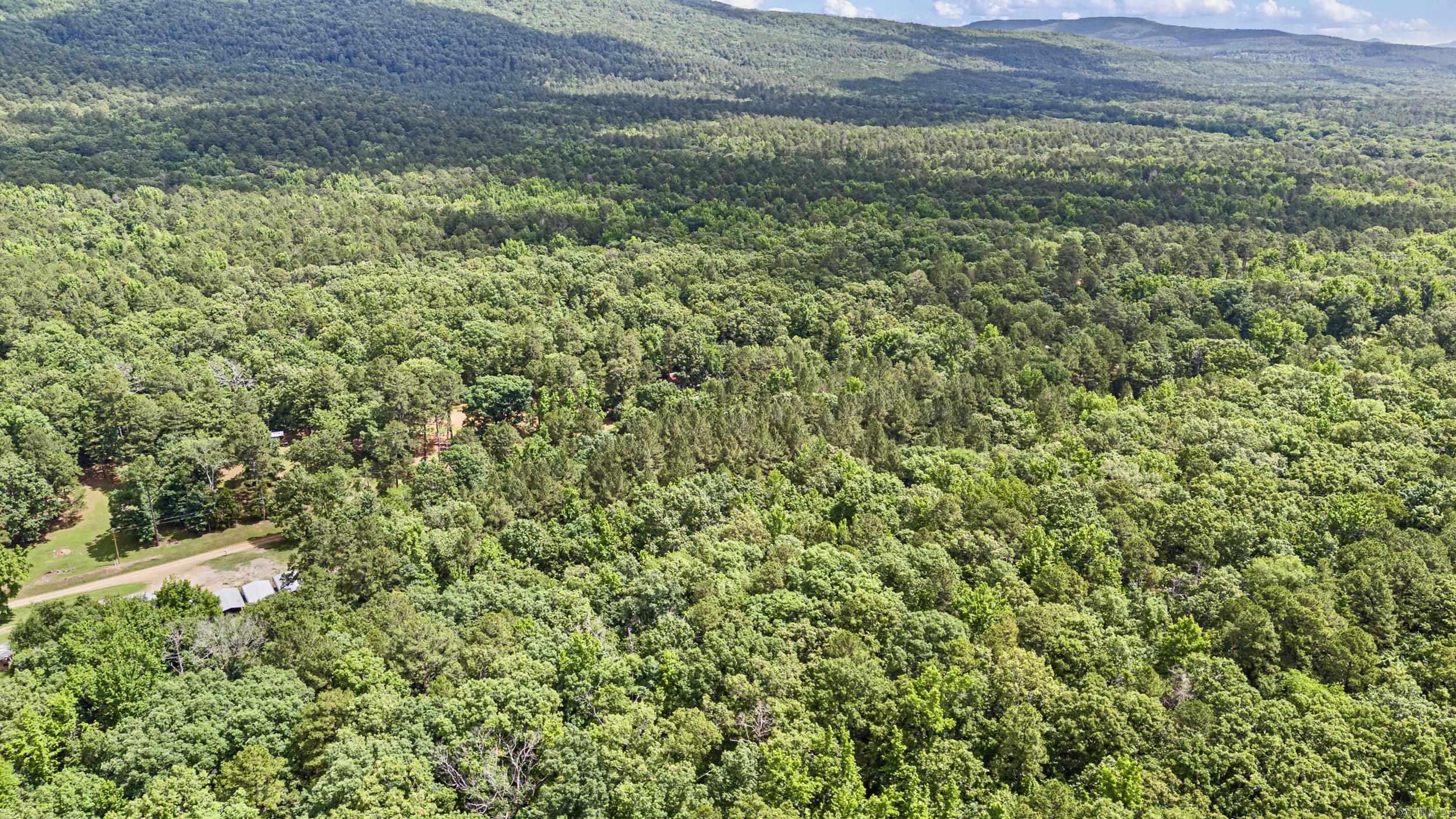 Tbd E Cedar Piney Road Property Photo 5
