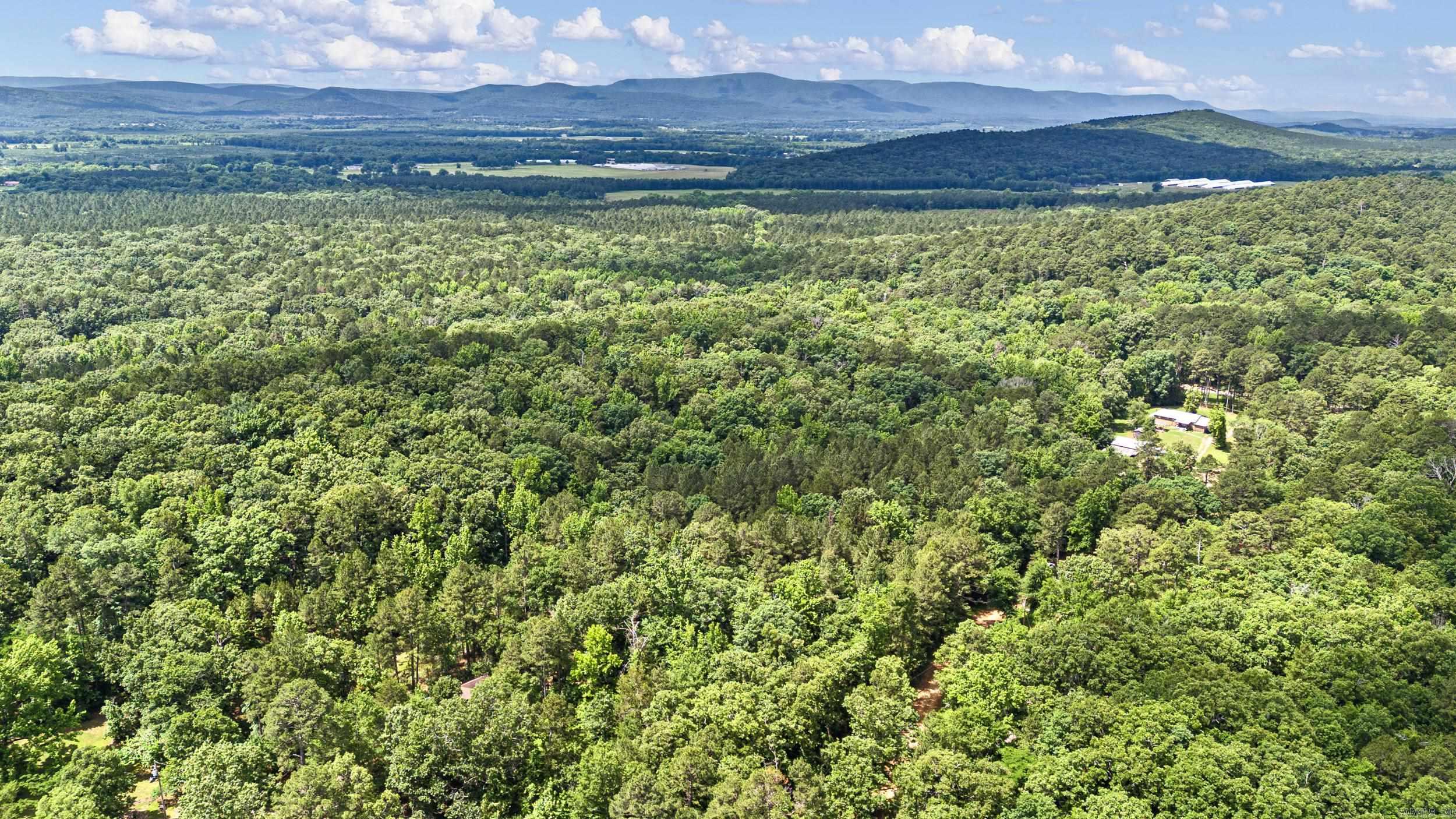 Tbd E Cedar Piney Road Property Photo 8