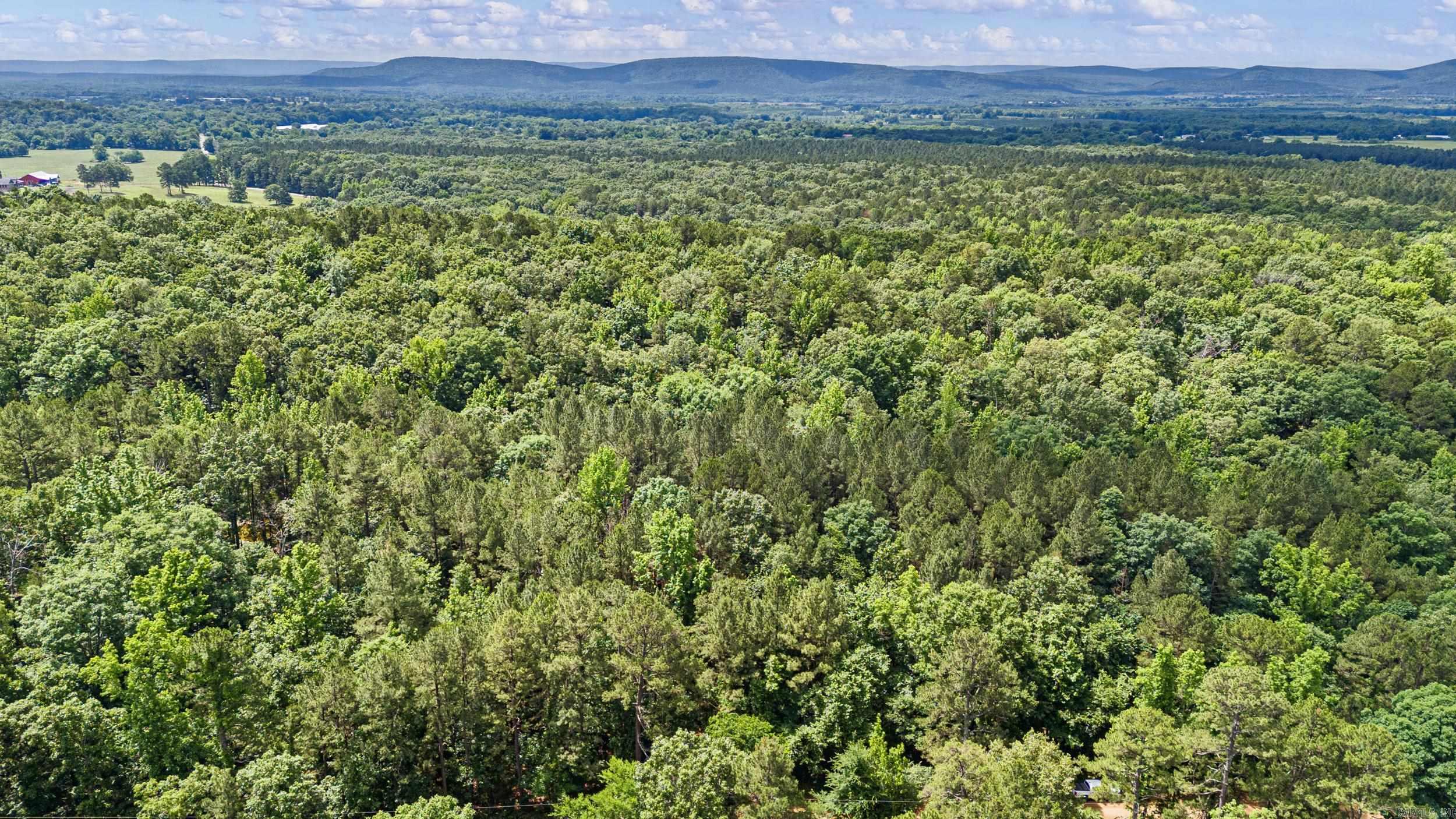 Tbd E Cedar Piney Road Property Photo 10