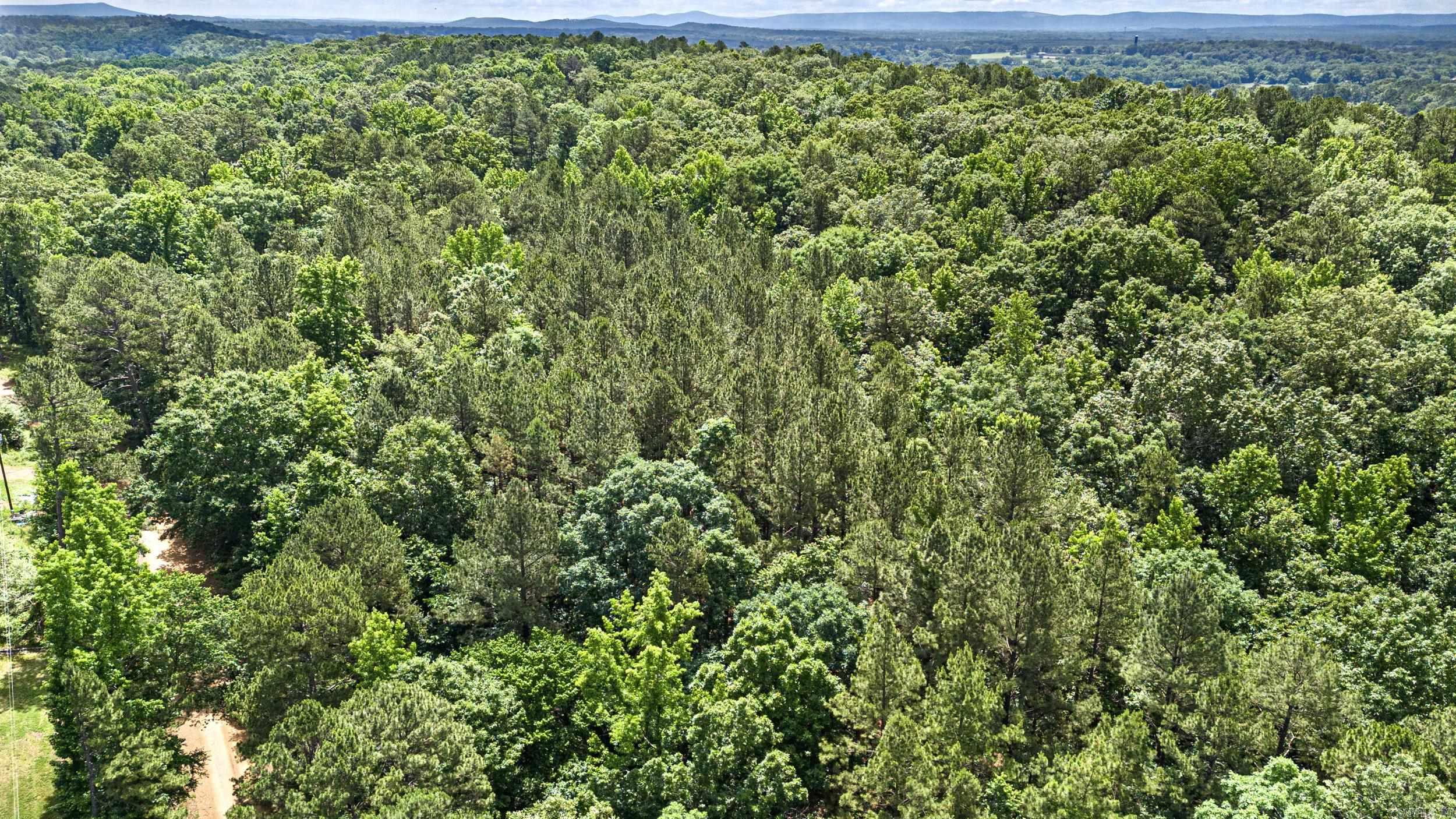 Tbd E Cedar Piney Road Property Photo 11