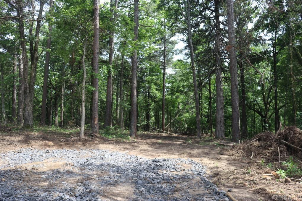 Tracewood Drive Property Photo 4
