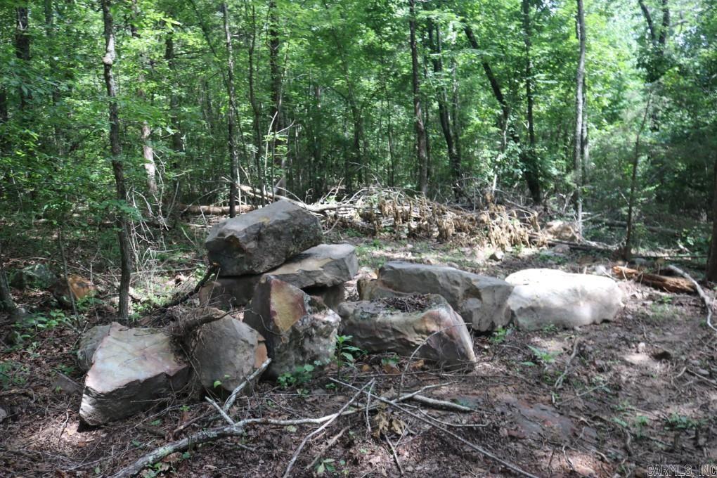Tracewood Drive Property Photo 6