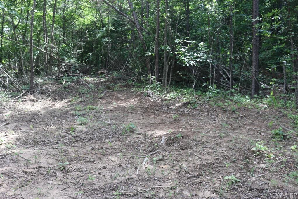 Tracewood Drive Property Photo 8