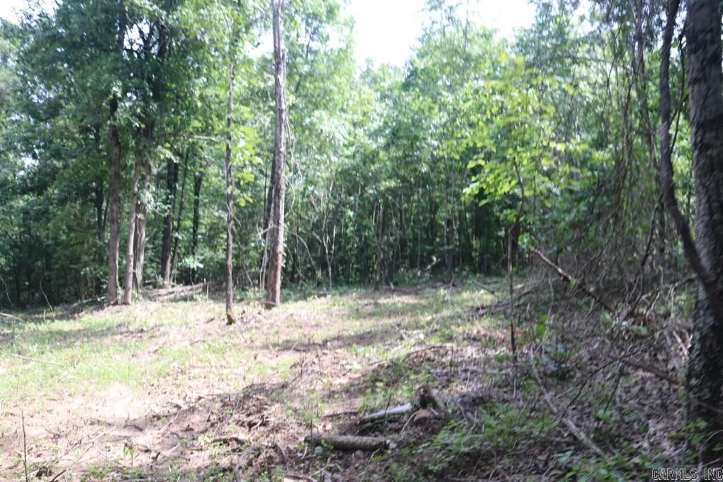 Tracewood Drive Property Photo 9