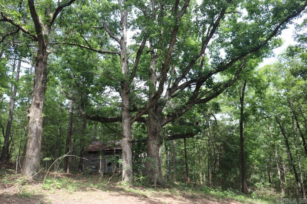 Tracewood Drive Property Photo 10