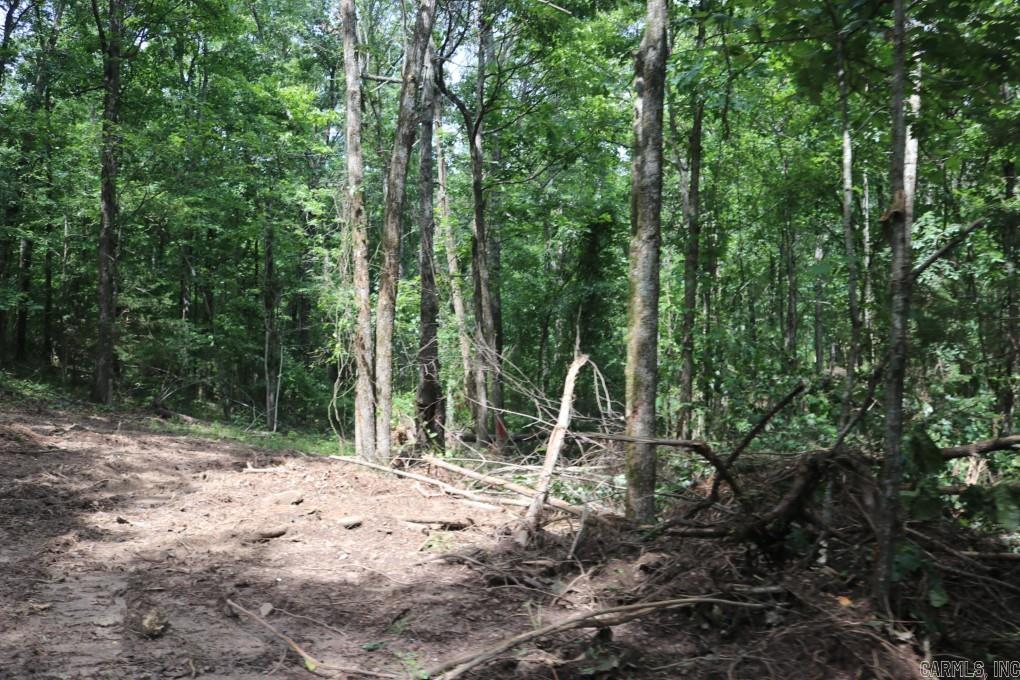 Tracewood Drive Property Photo 14