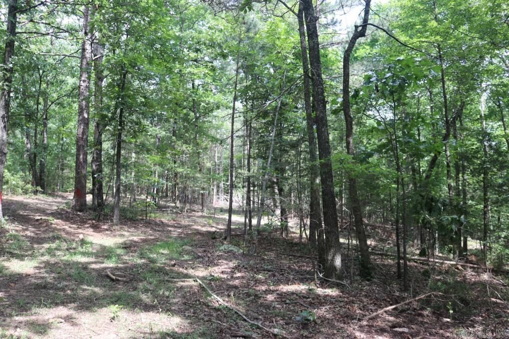 Tracewood Drive Property Photo 15