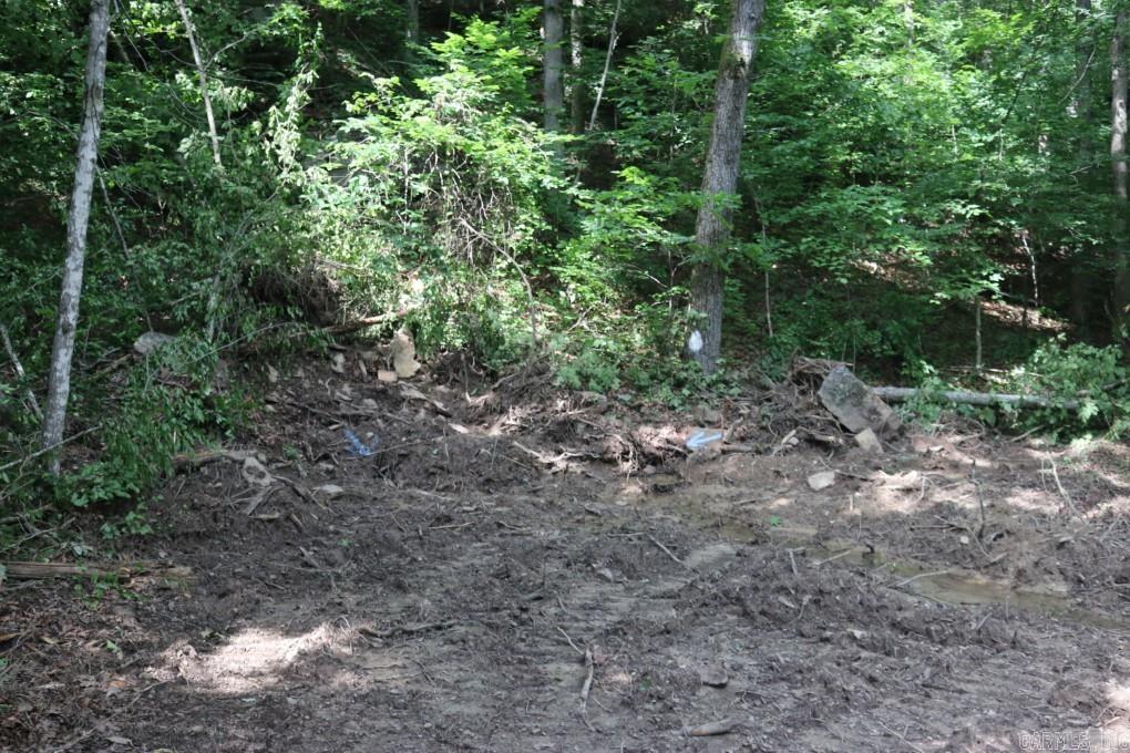 Tracewood Drive Property Photo 24