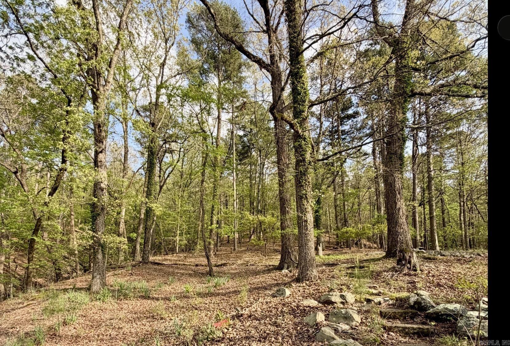 416 Ramble Property Photo 18