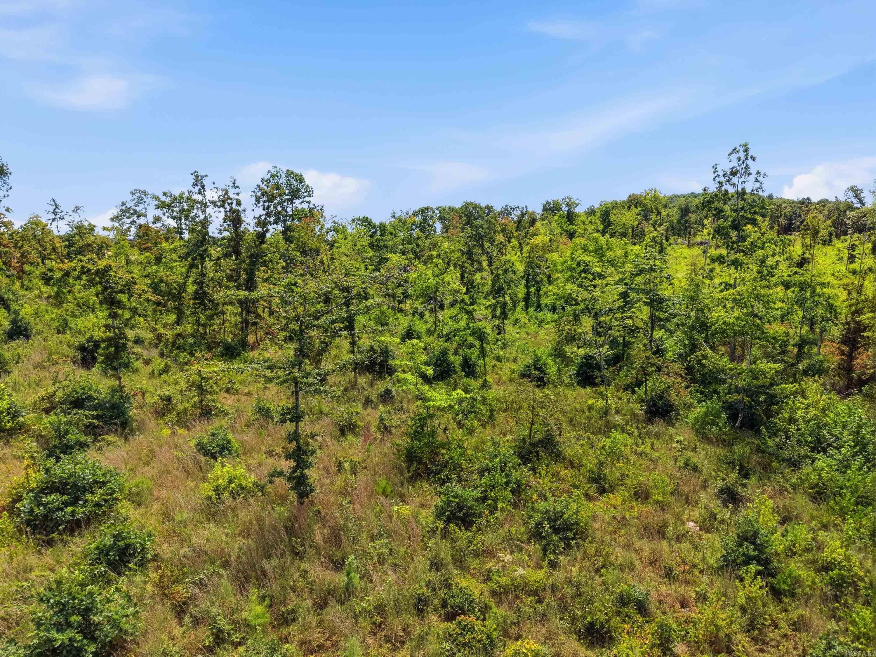 849-889 Presnull Road Property Photo 15