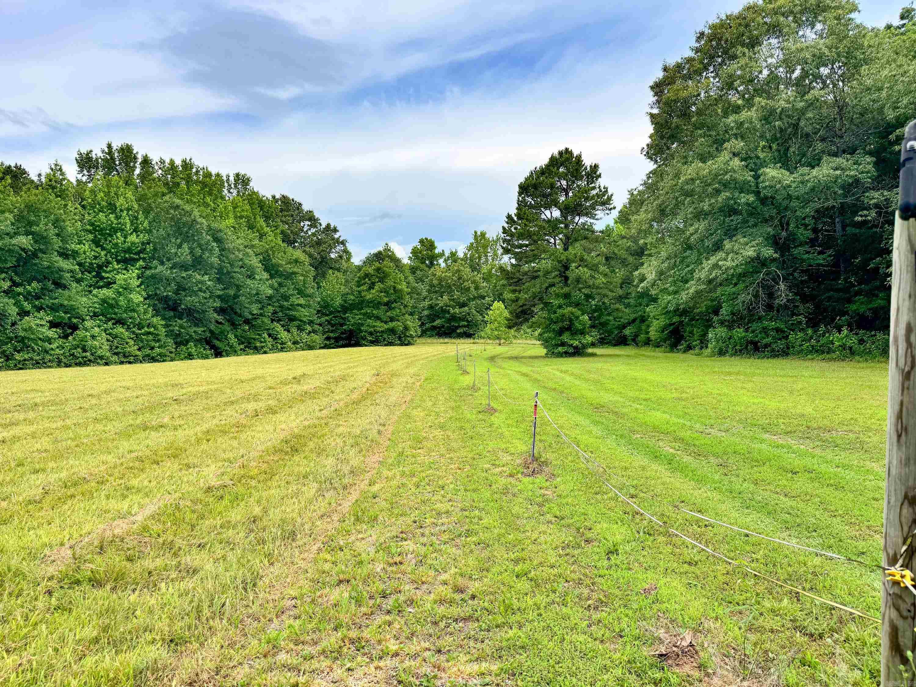 7135 Hwy 124 Property Photo 37