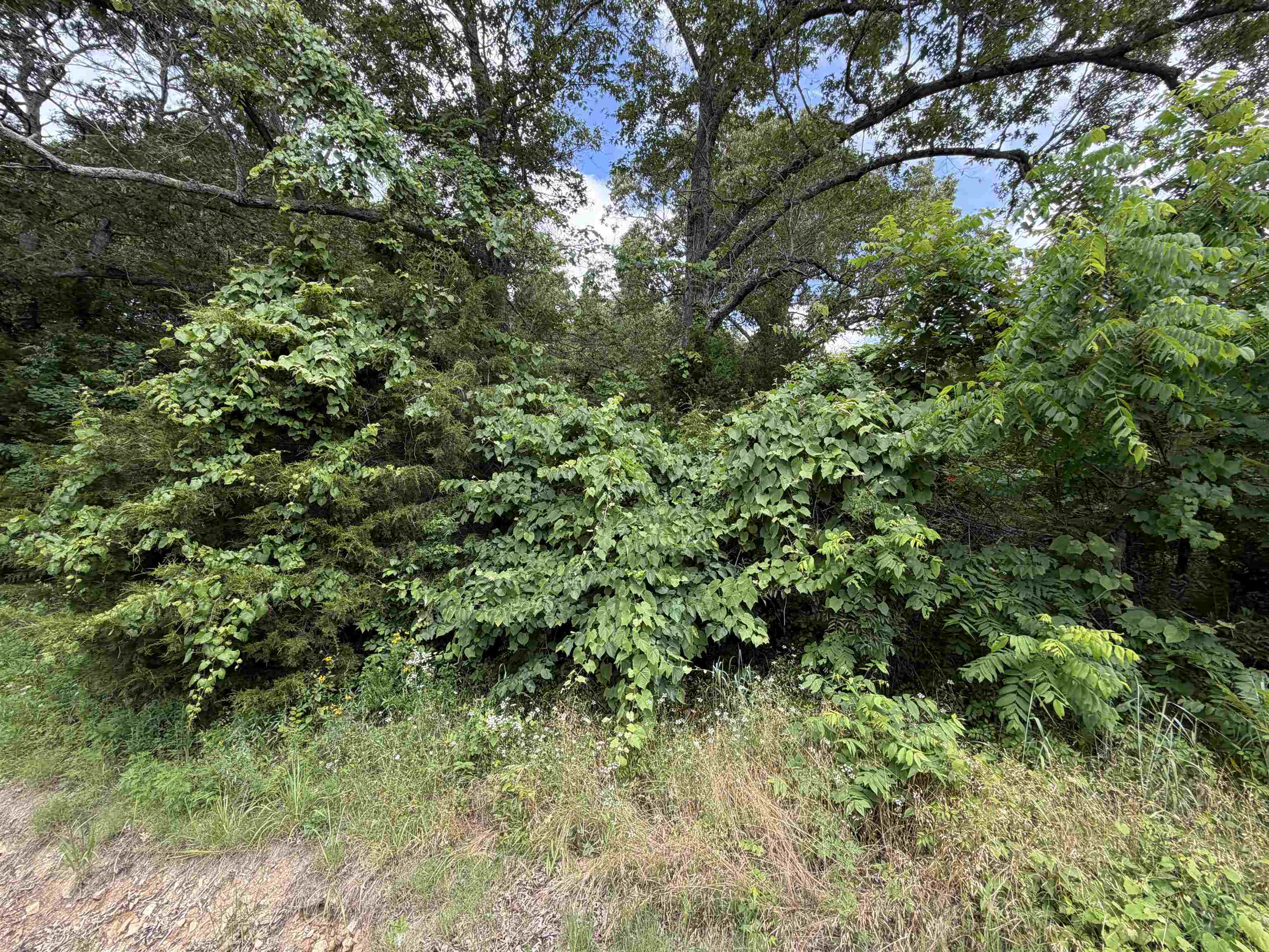 0 56 Highway Property Photo 2