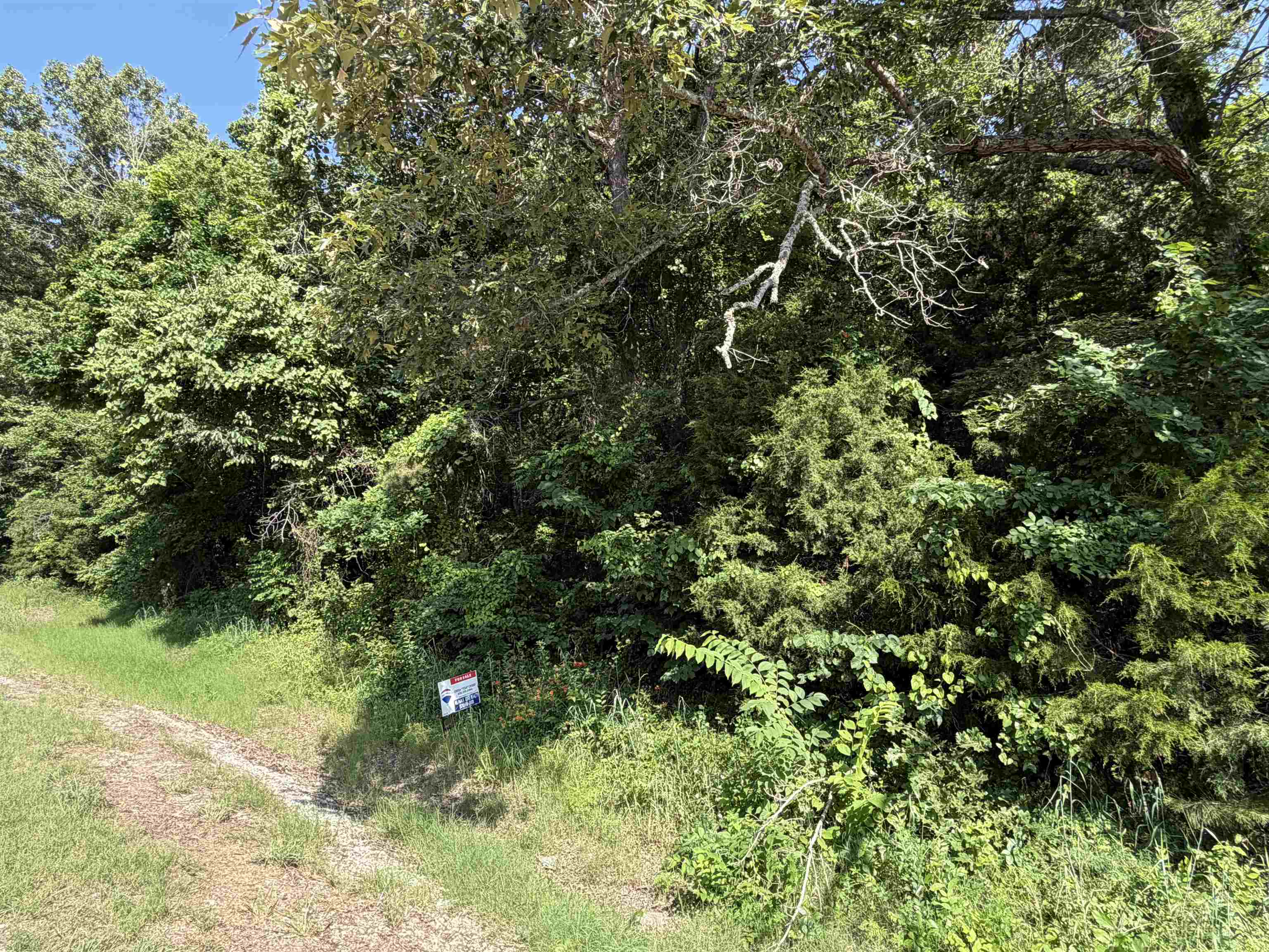 0 56 Highway Property Photo 3