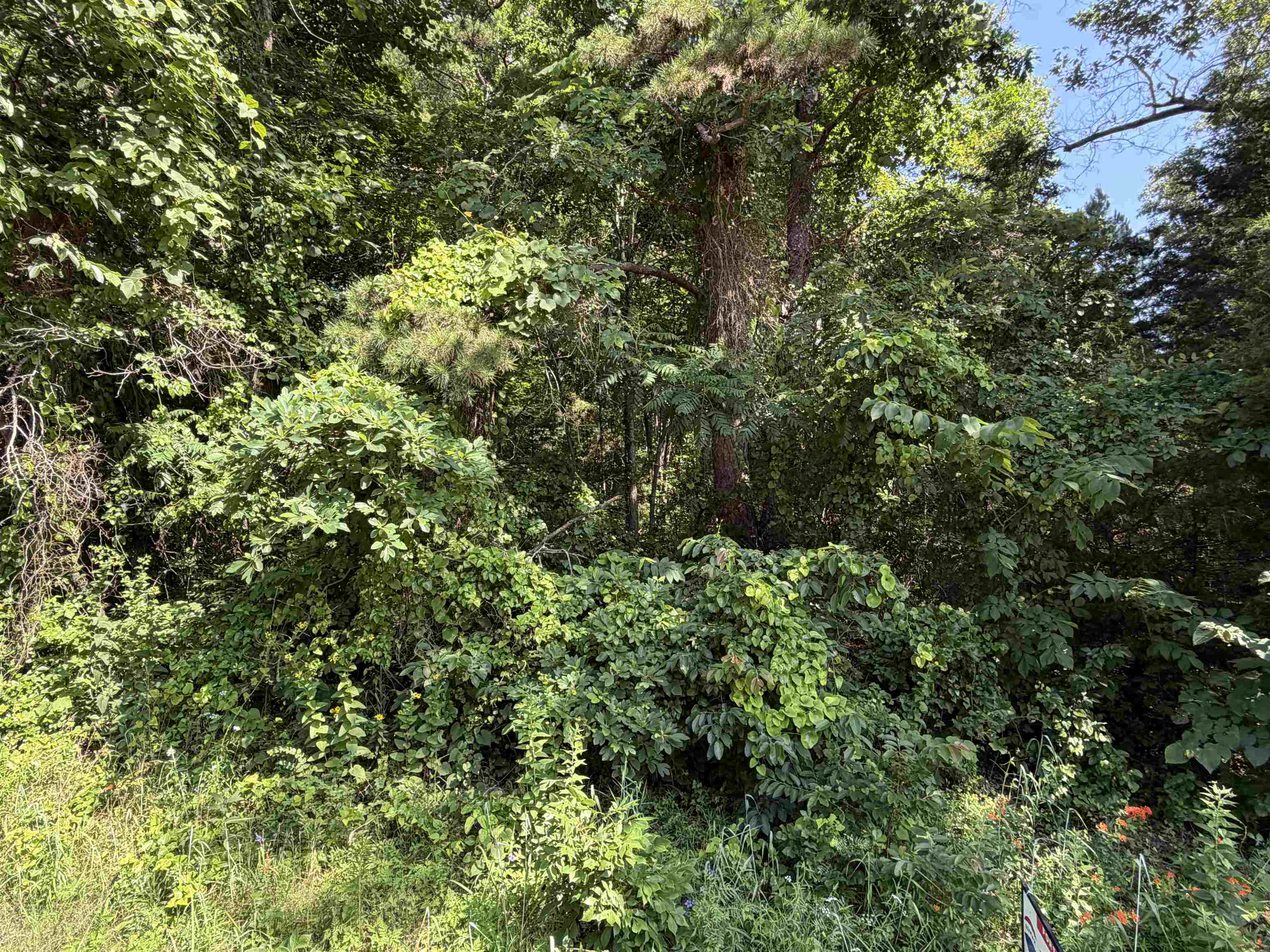 0 56 Highway Property Photo 4