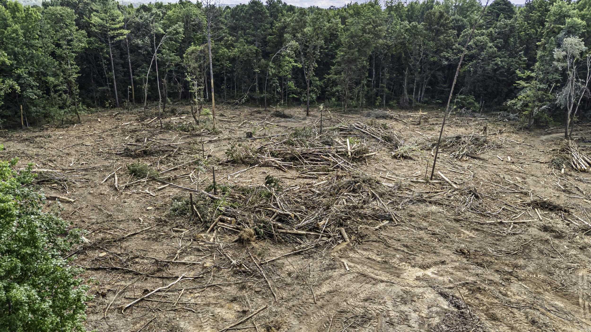 6.83 Acres Sr 7 N Property Photo 4