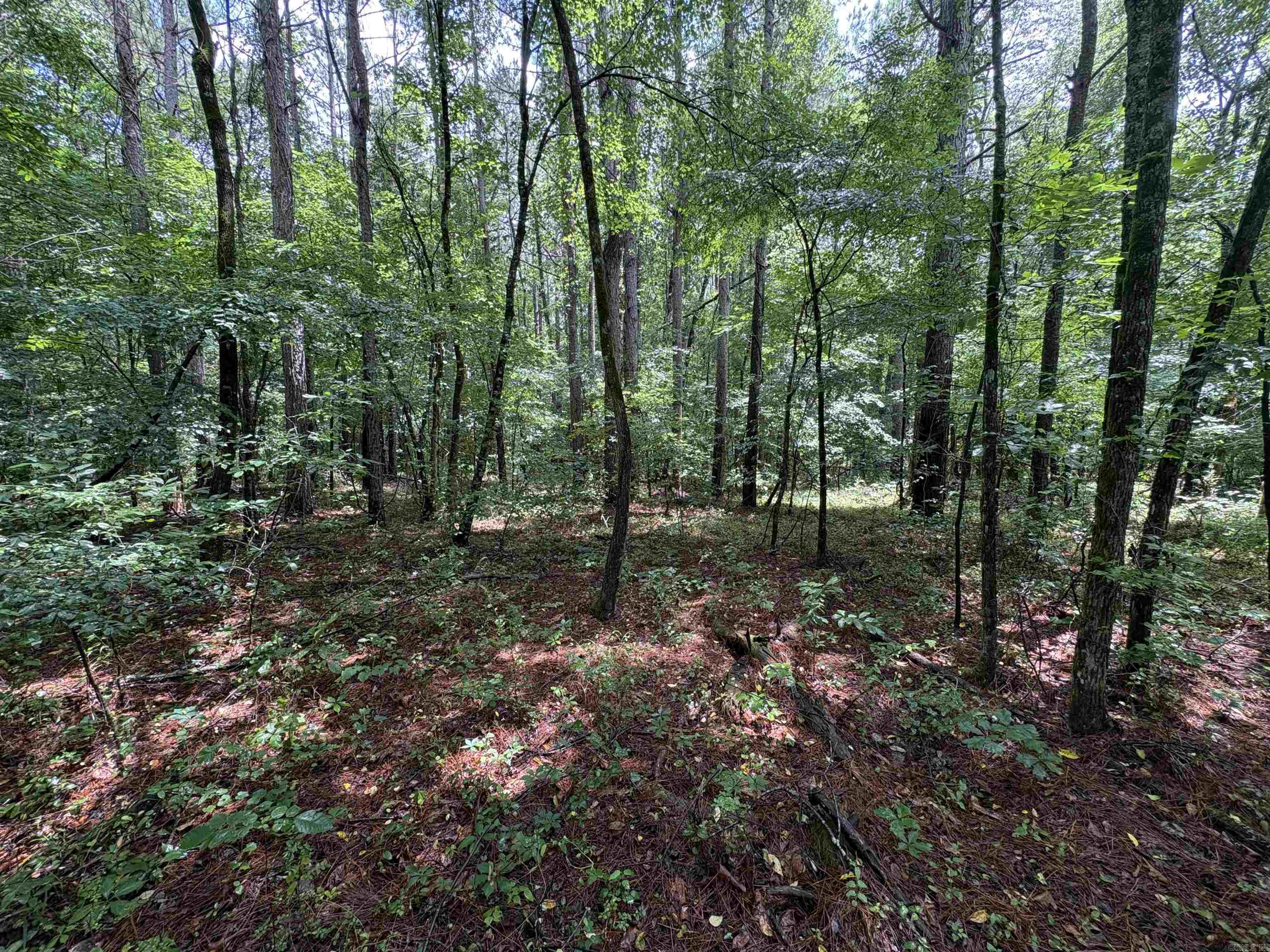 6.83 Acres Sr 7 N Property Photo 7