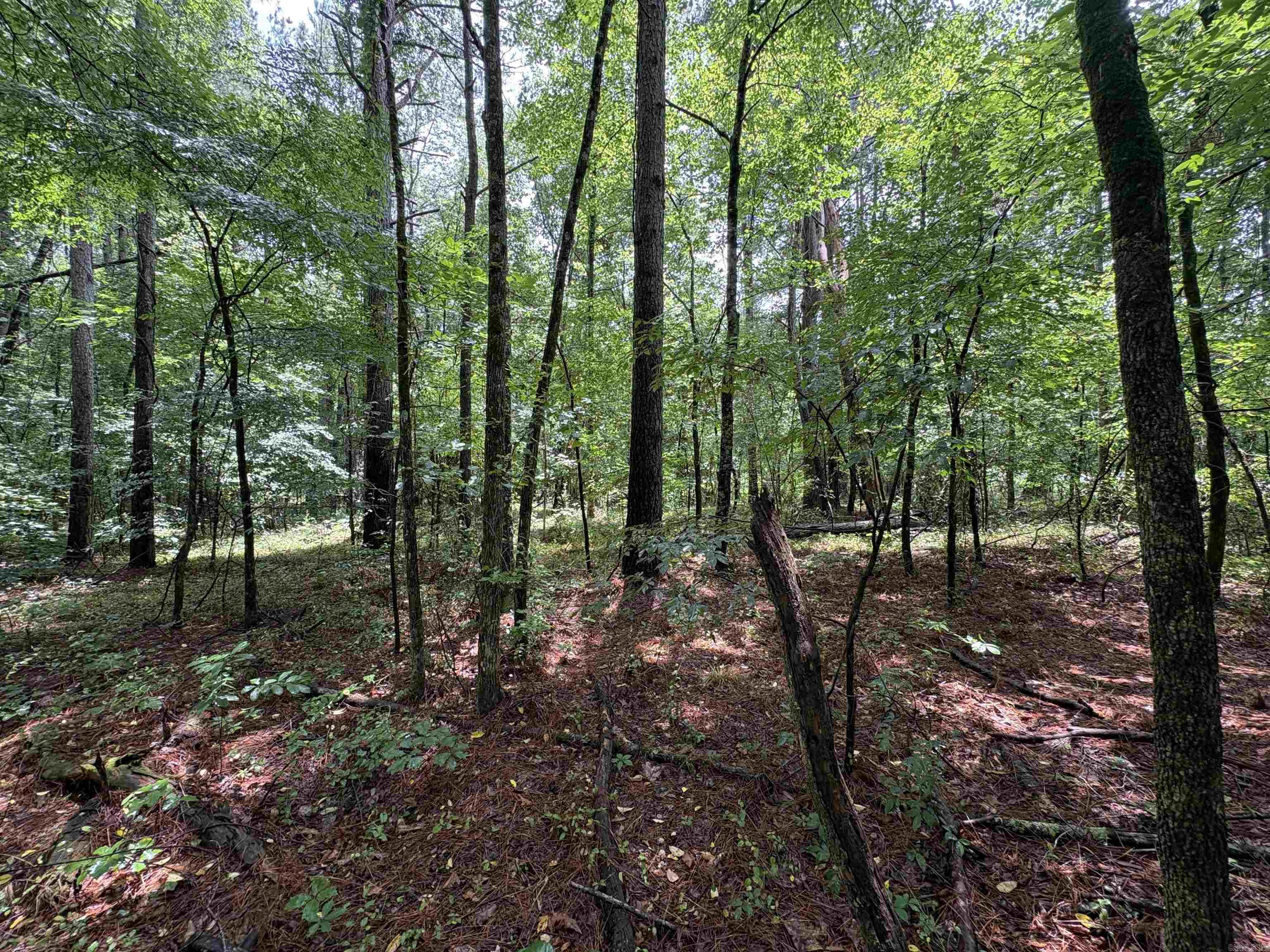 6.83 Acres Sr 7 N Property Photo 8