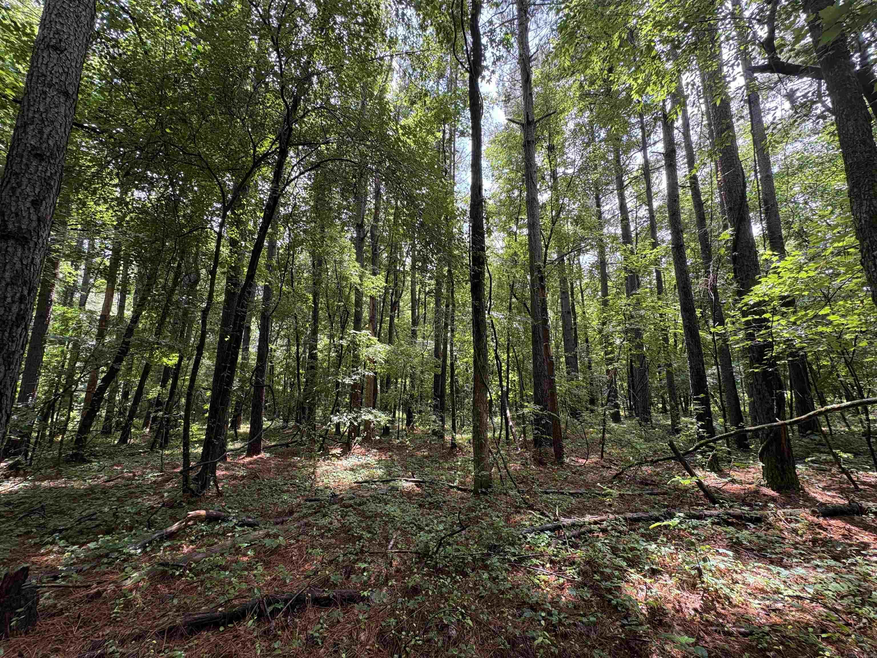 6.83 Acres Sr 7 N Property Photo 9