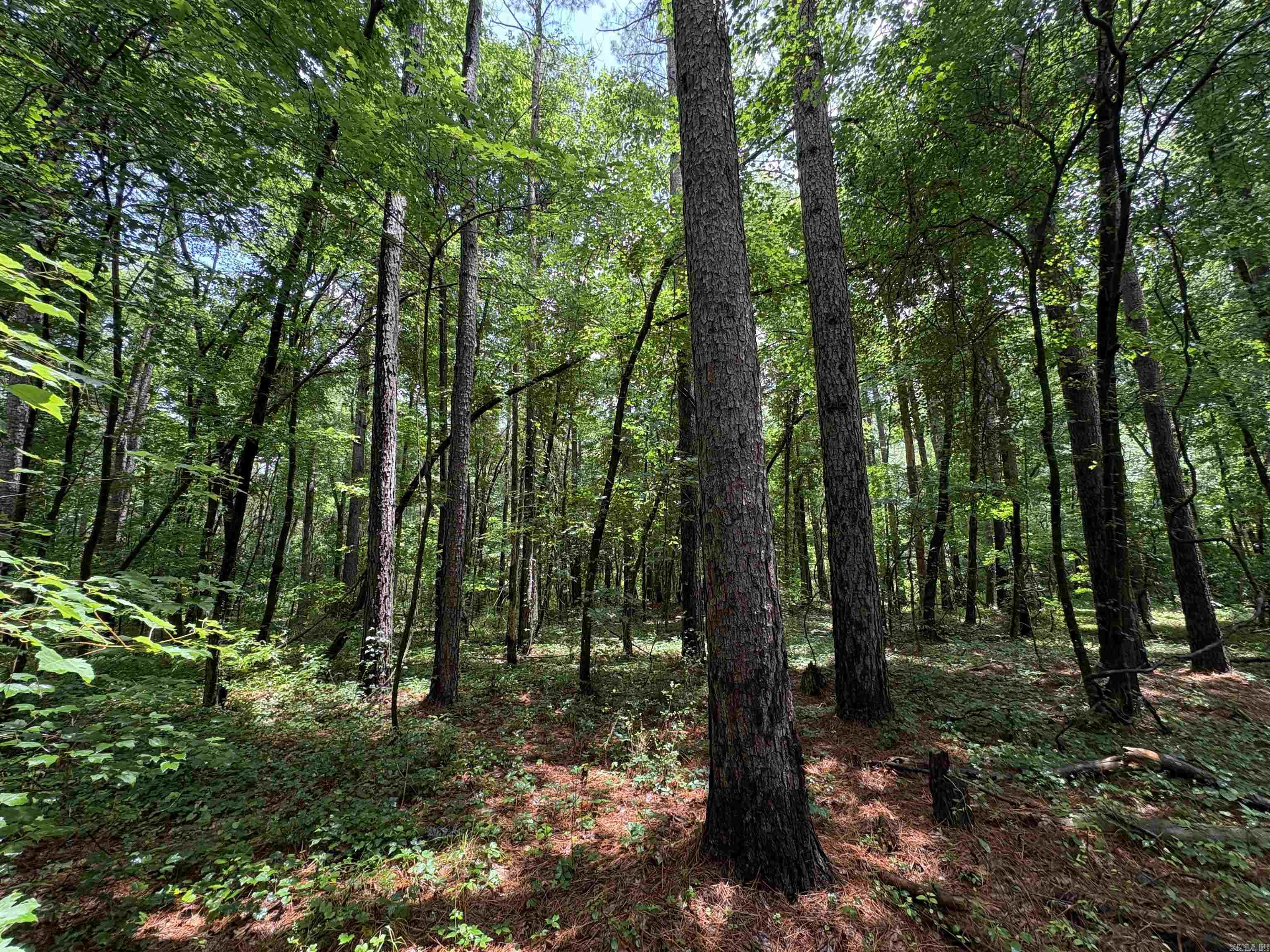6.83 Acres Sr 7 N Property Photo 10