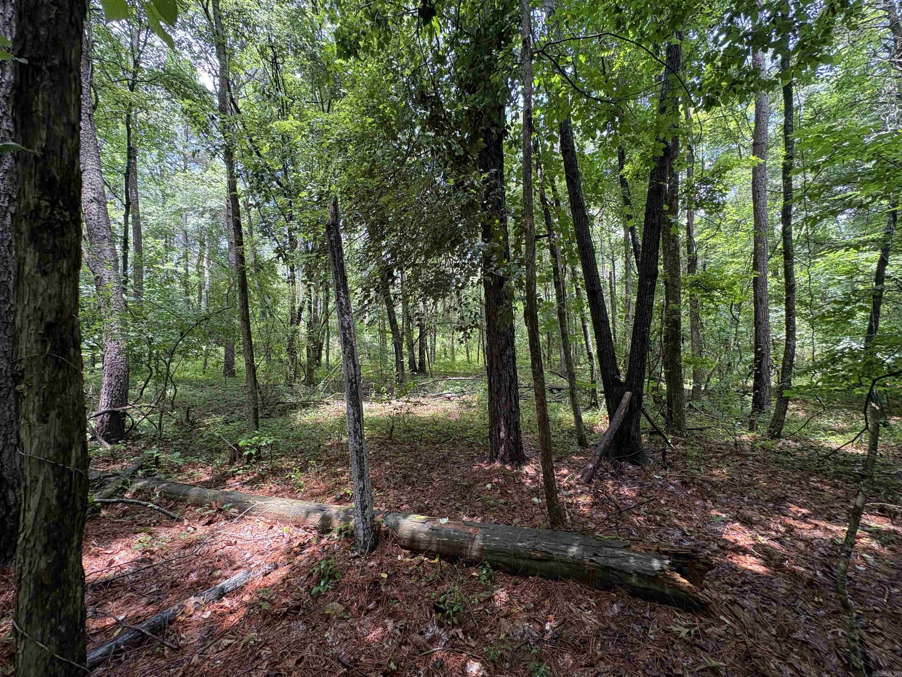 6.83 Acres Sr 7 N Property Photo 11