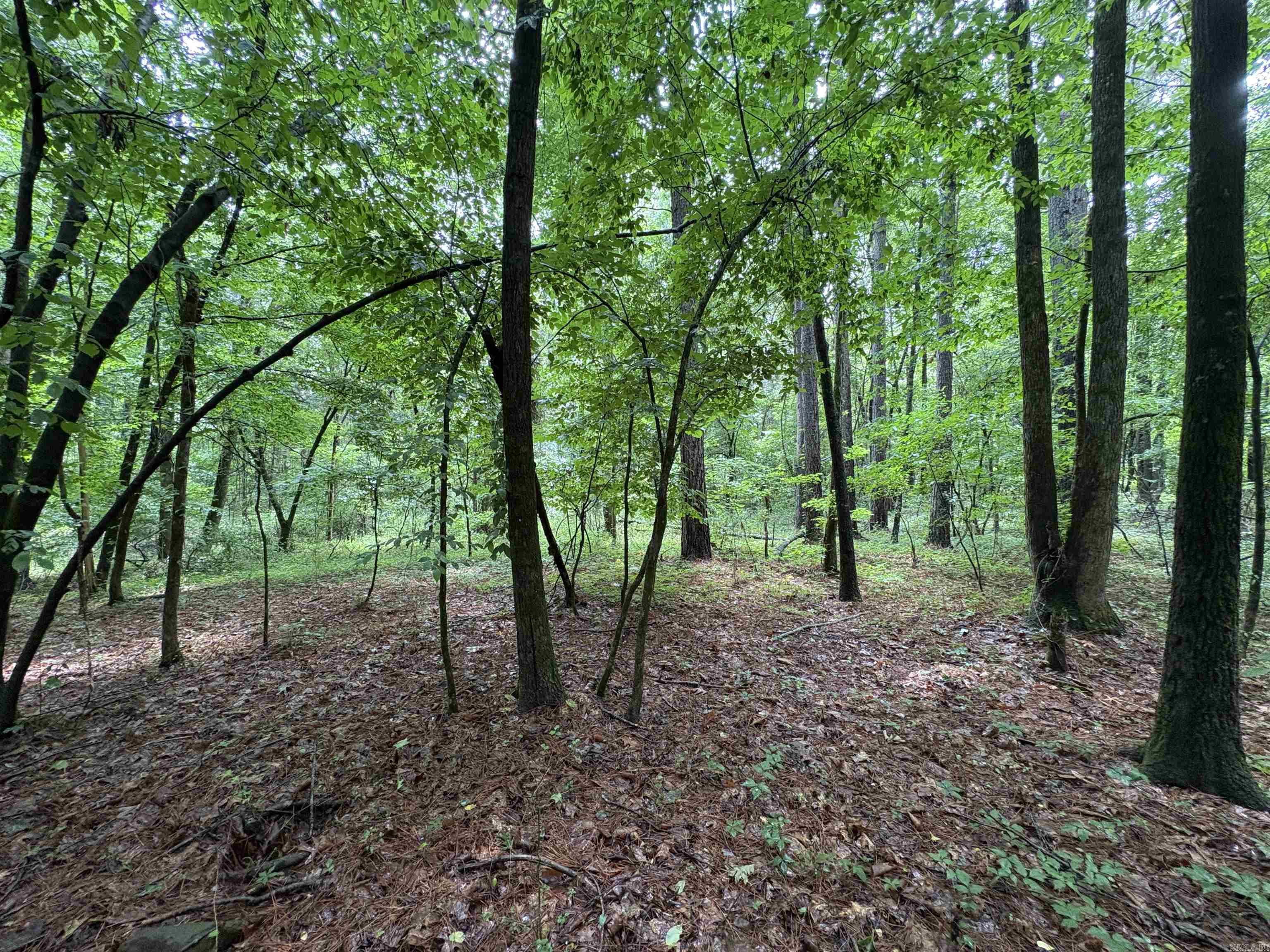 6.83 Acres Sr 7 N Property Photo 12
