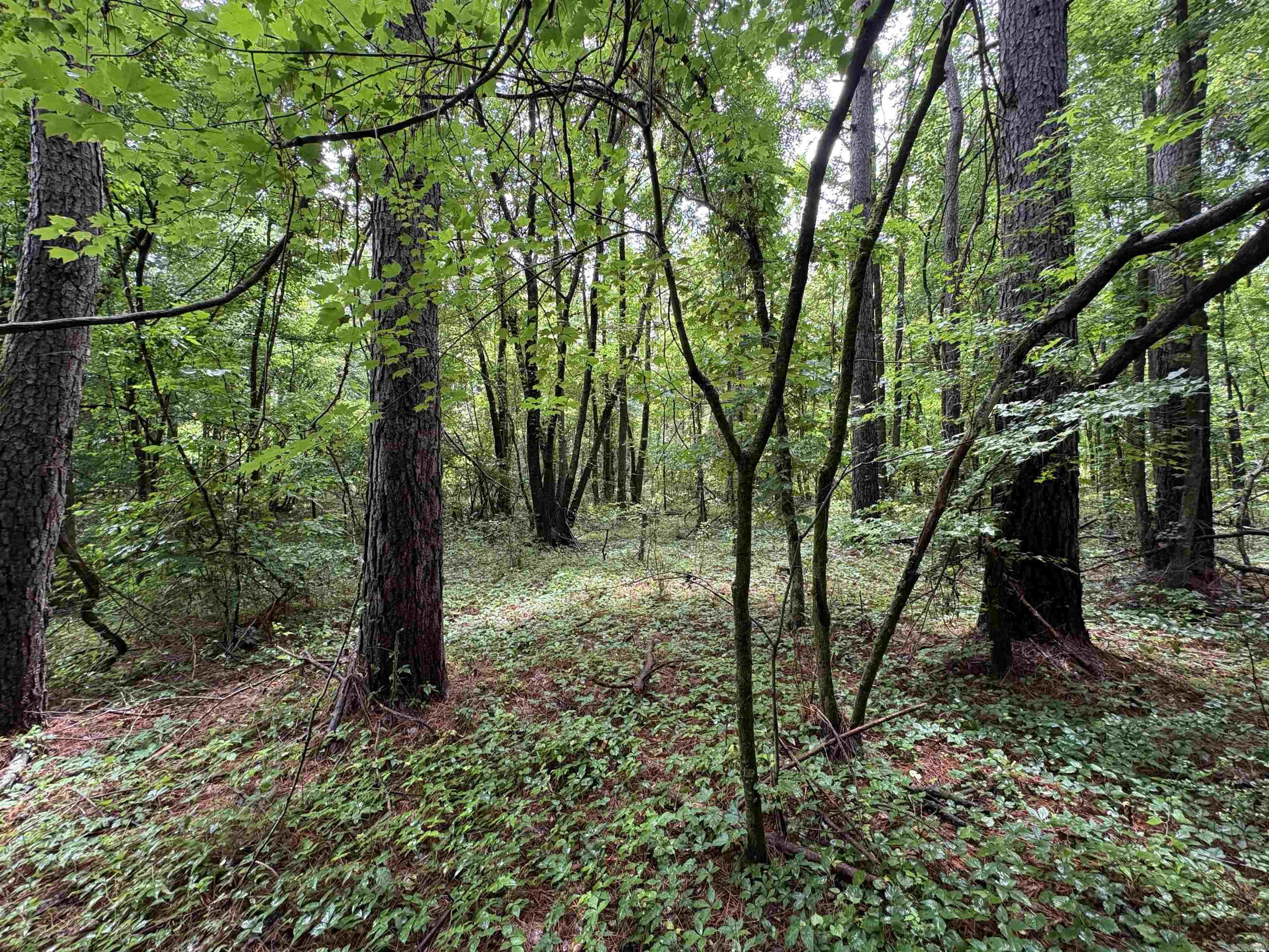6.83 Acres Sr 7 N Property Photo 14