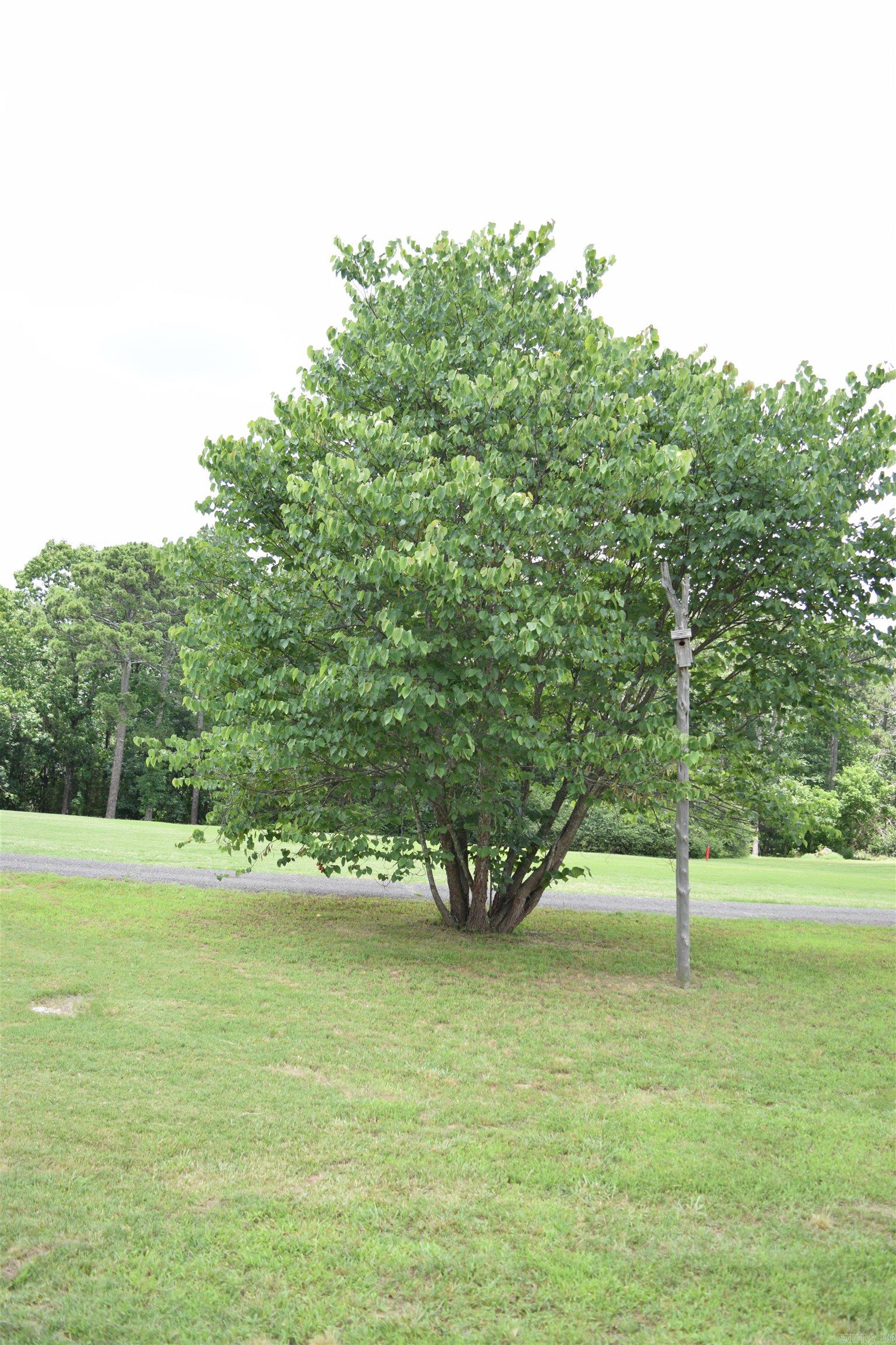 122 Deer Run Trail Property Photo 43