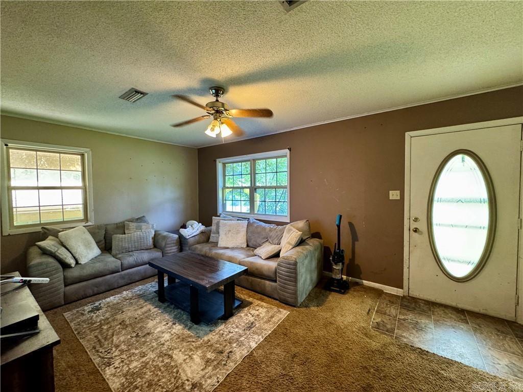 33 Earl Property Photo 2