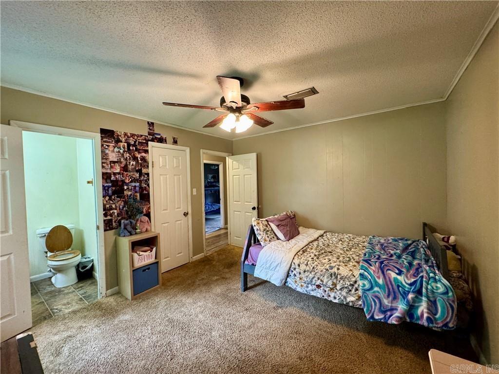 33 Earl Property Photo 15