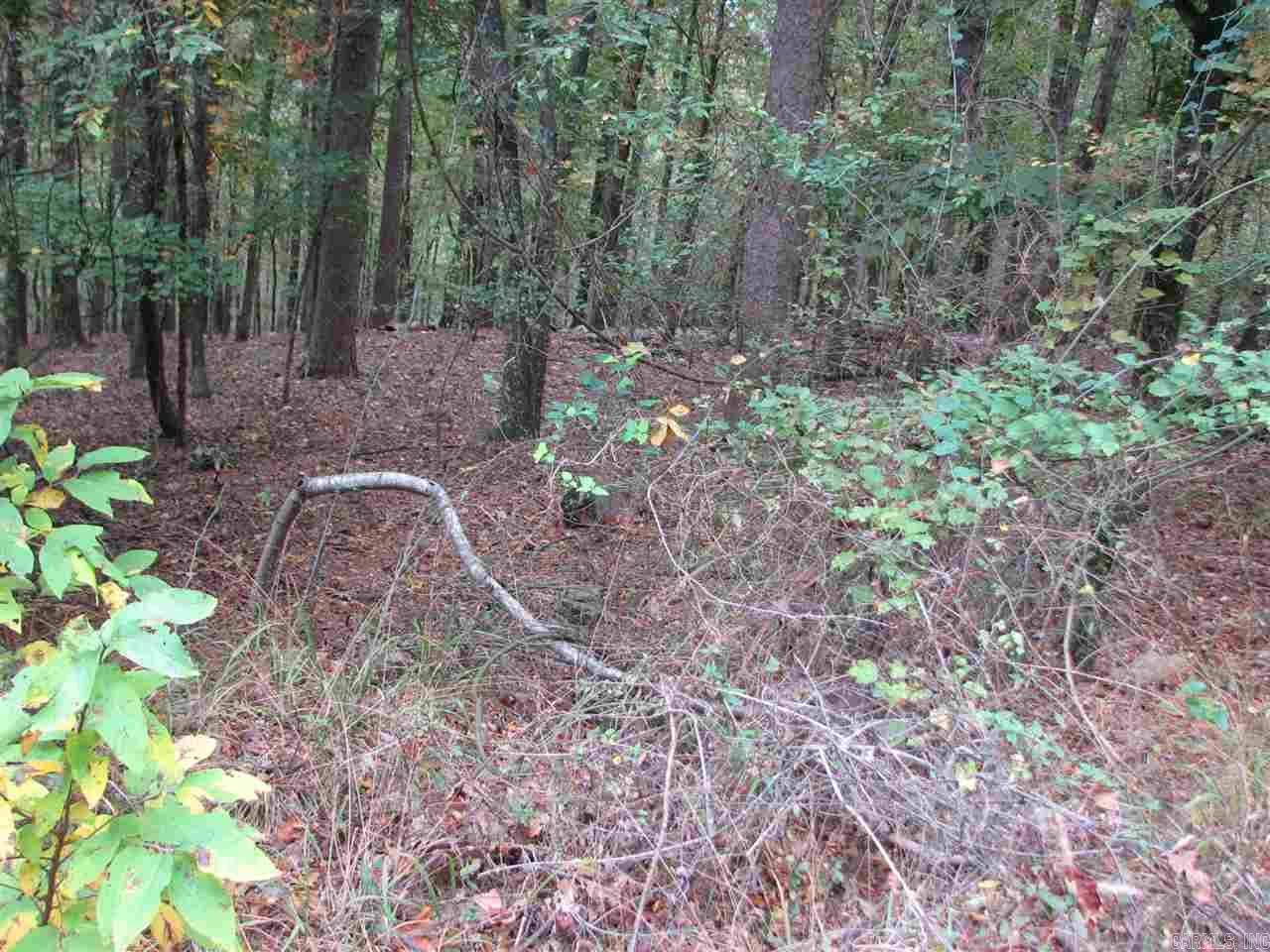 27 Lago Drive Property Photo 4