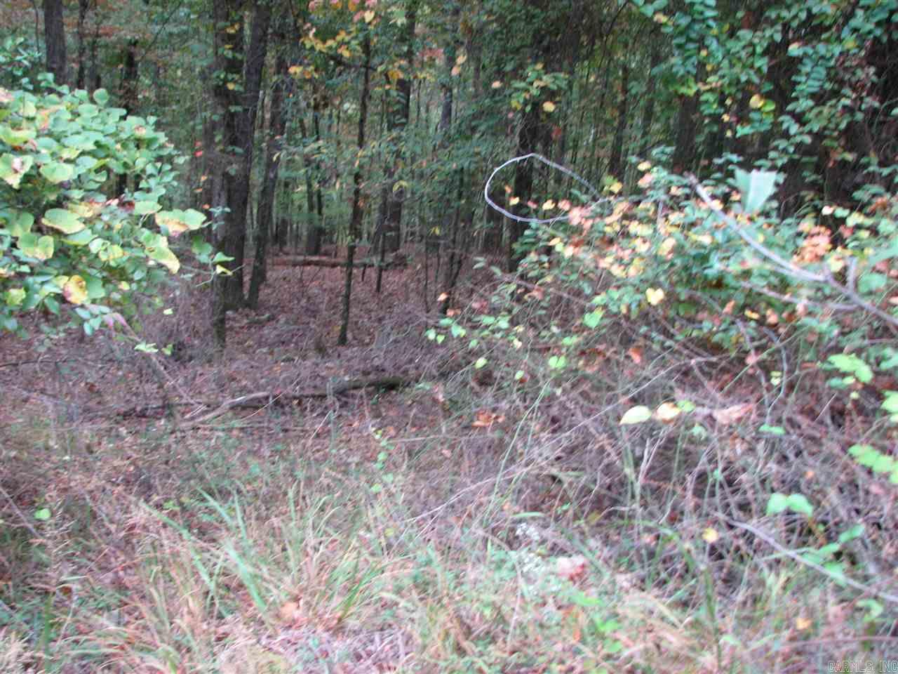 27 Lago Drive Property Photo 5