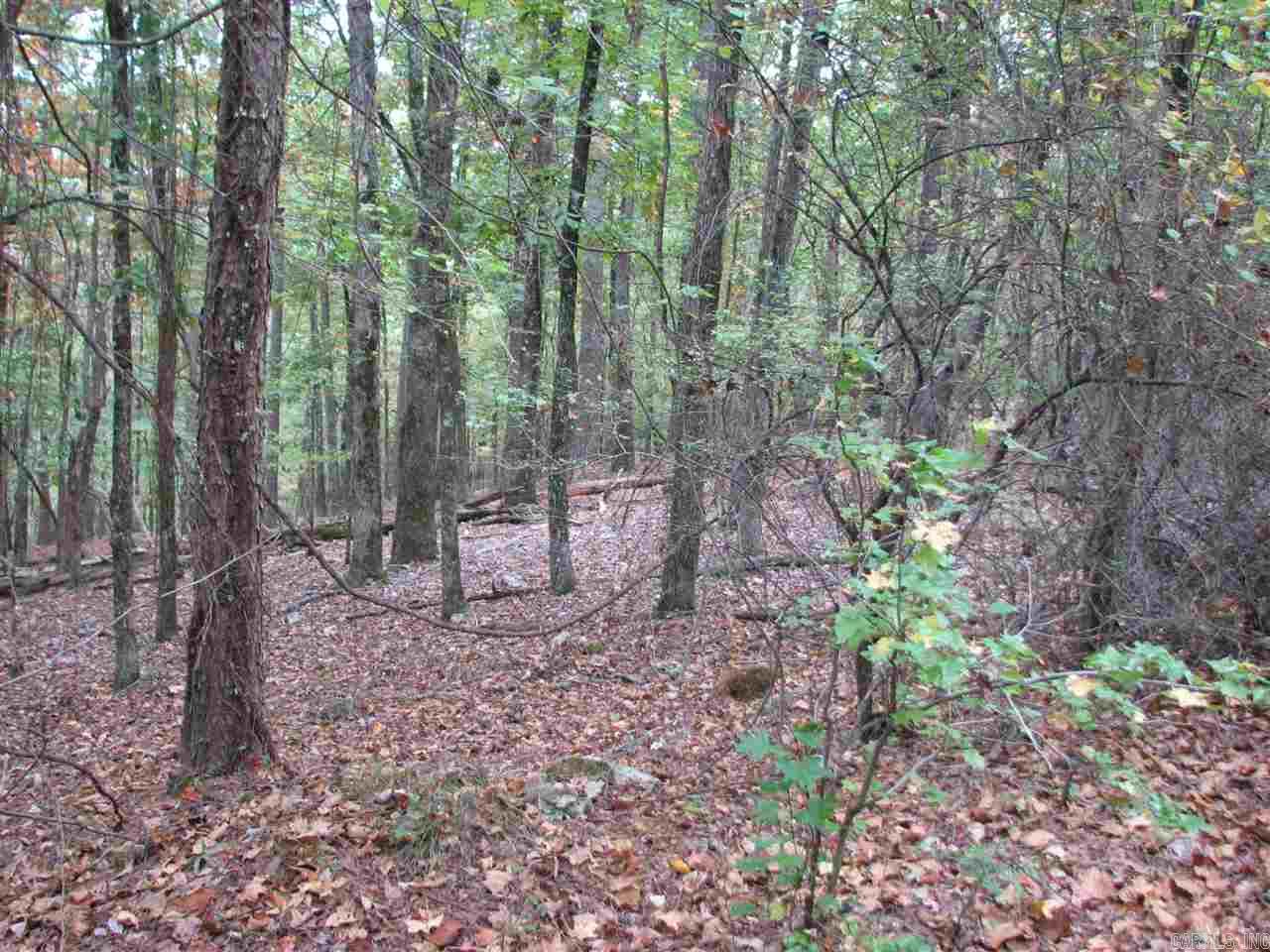 27 Lago Drive Property Photo 6