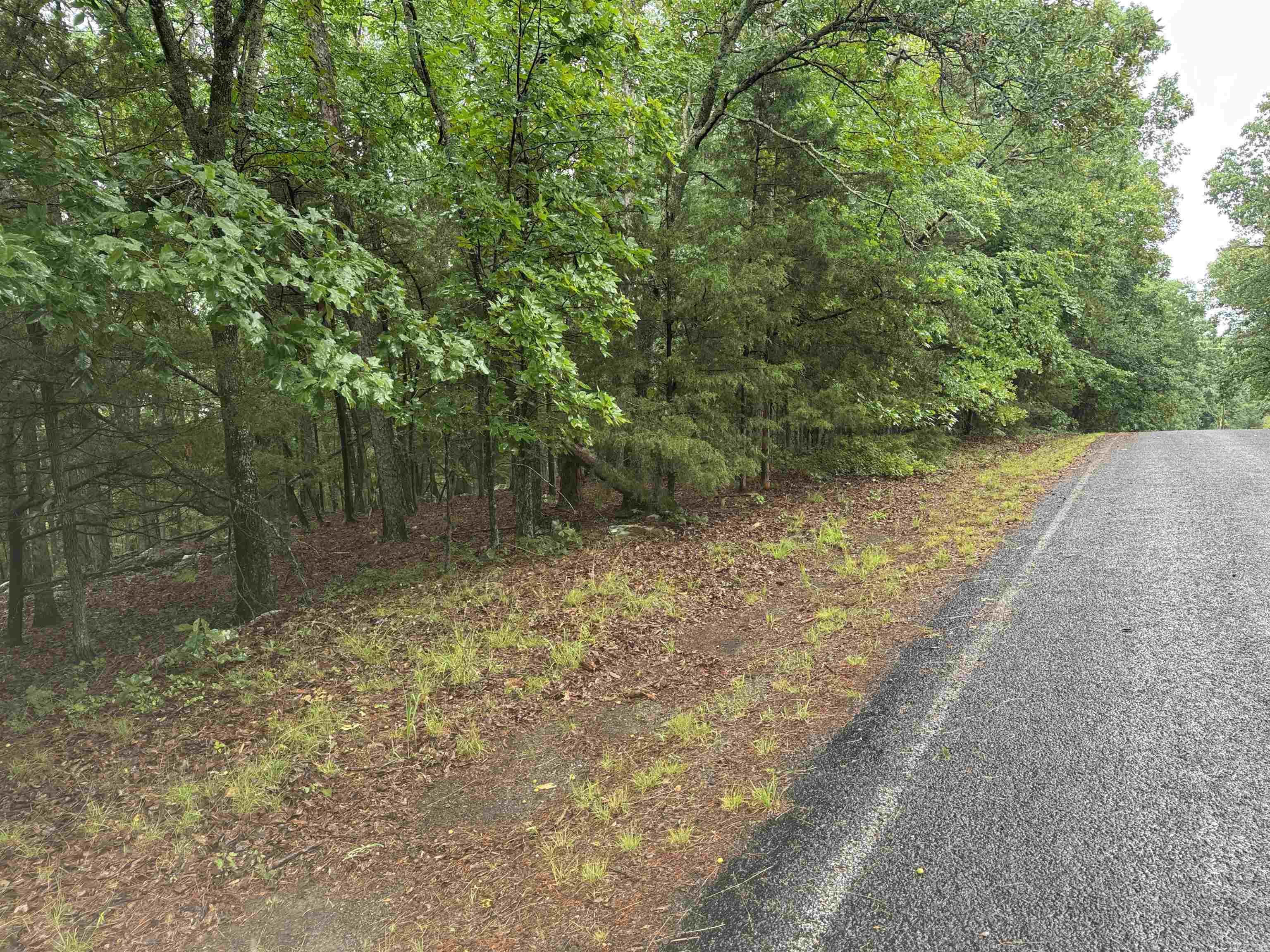Lot 36 Vista Lane Property Photo 1