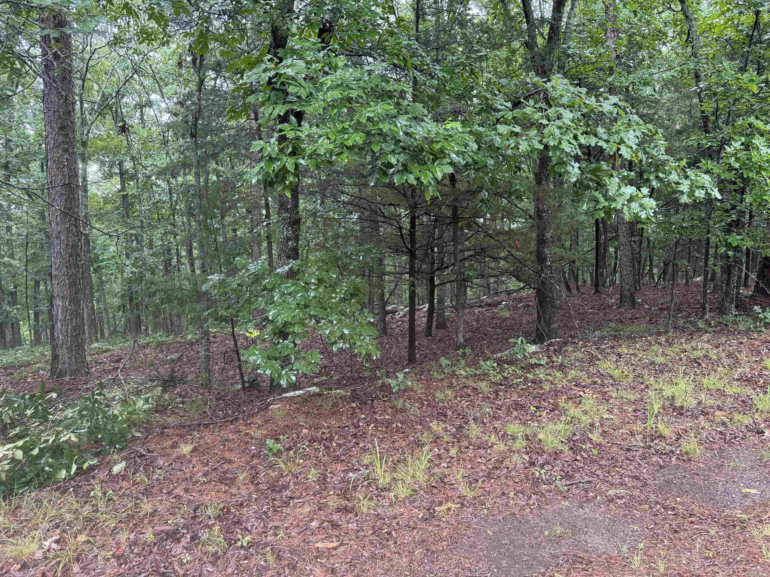 Lot 36 Vista Lane Property Photo 2